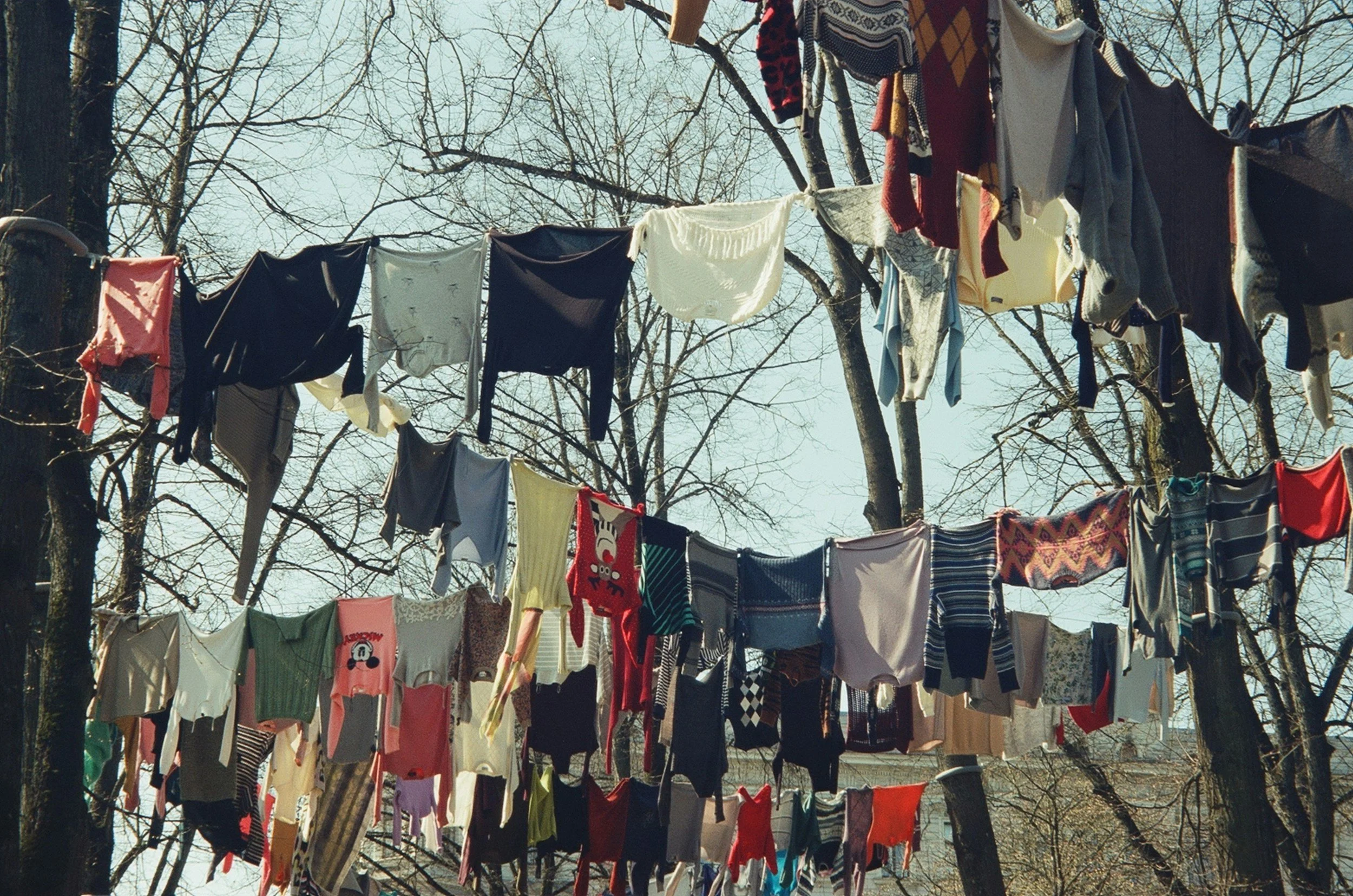 Clothes hanging on a clothesline strung between trees on a clear day with a blue sky.