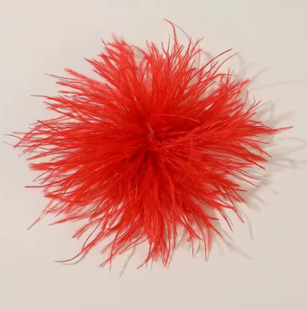 red ostrcih feather brooch.png