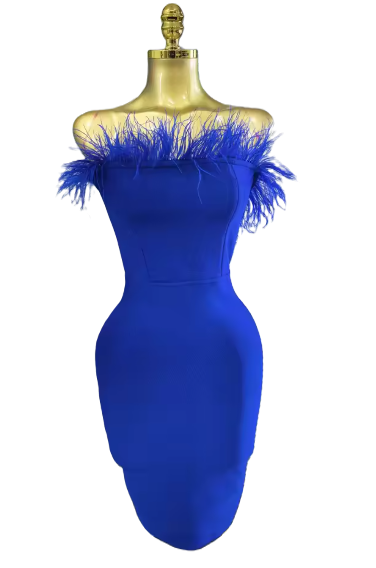 blue feather 2.PNG