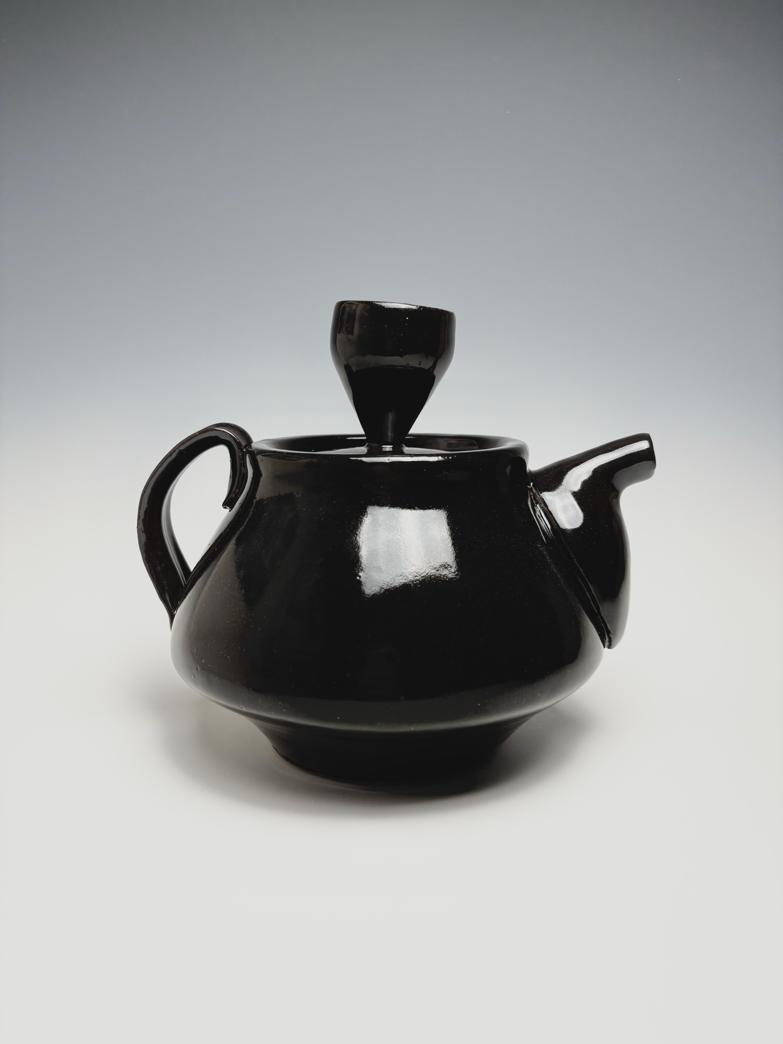 A black ceramic teapot with a round body, two handles, and a spout, placed against a light gradient background.