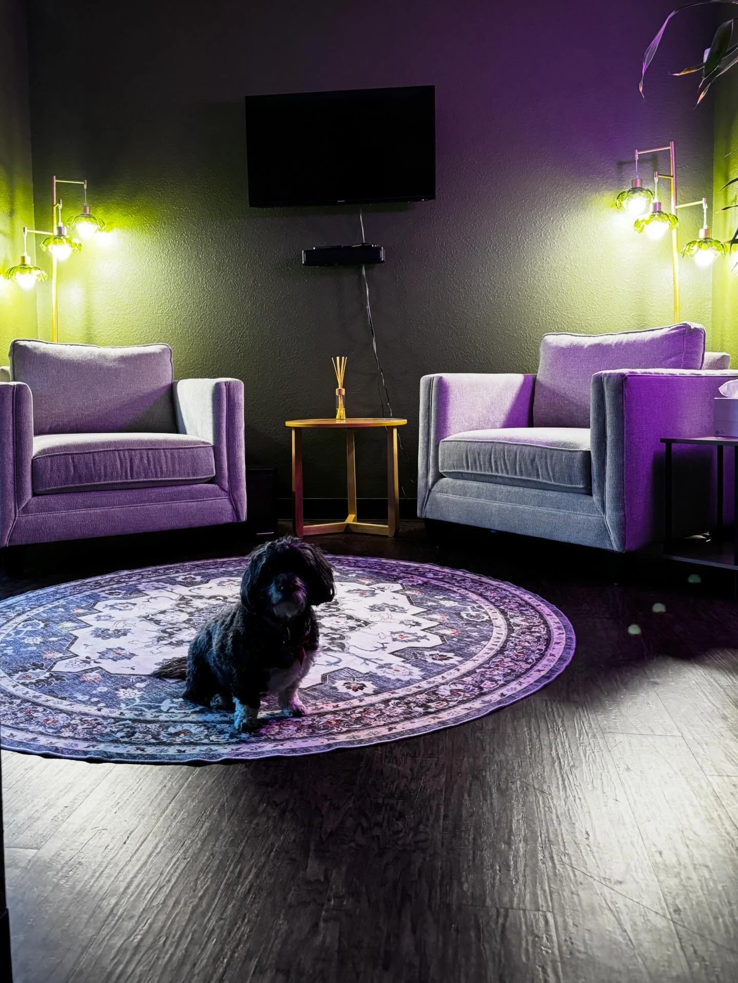 Living room with two purple armchairs, a small yellow side table with a decorative reed diffuser, a round patterned rug, and a small black dog sitting on the rug. The room has dark hardwood flooring, a black textured wall, and wall-mounted yellow-green light fixtures on each side. A television is mounted on the wall in the center.