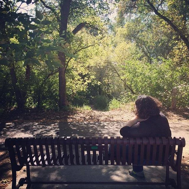 A person sitting alone on a bench facing a sunlit wooded path.