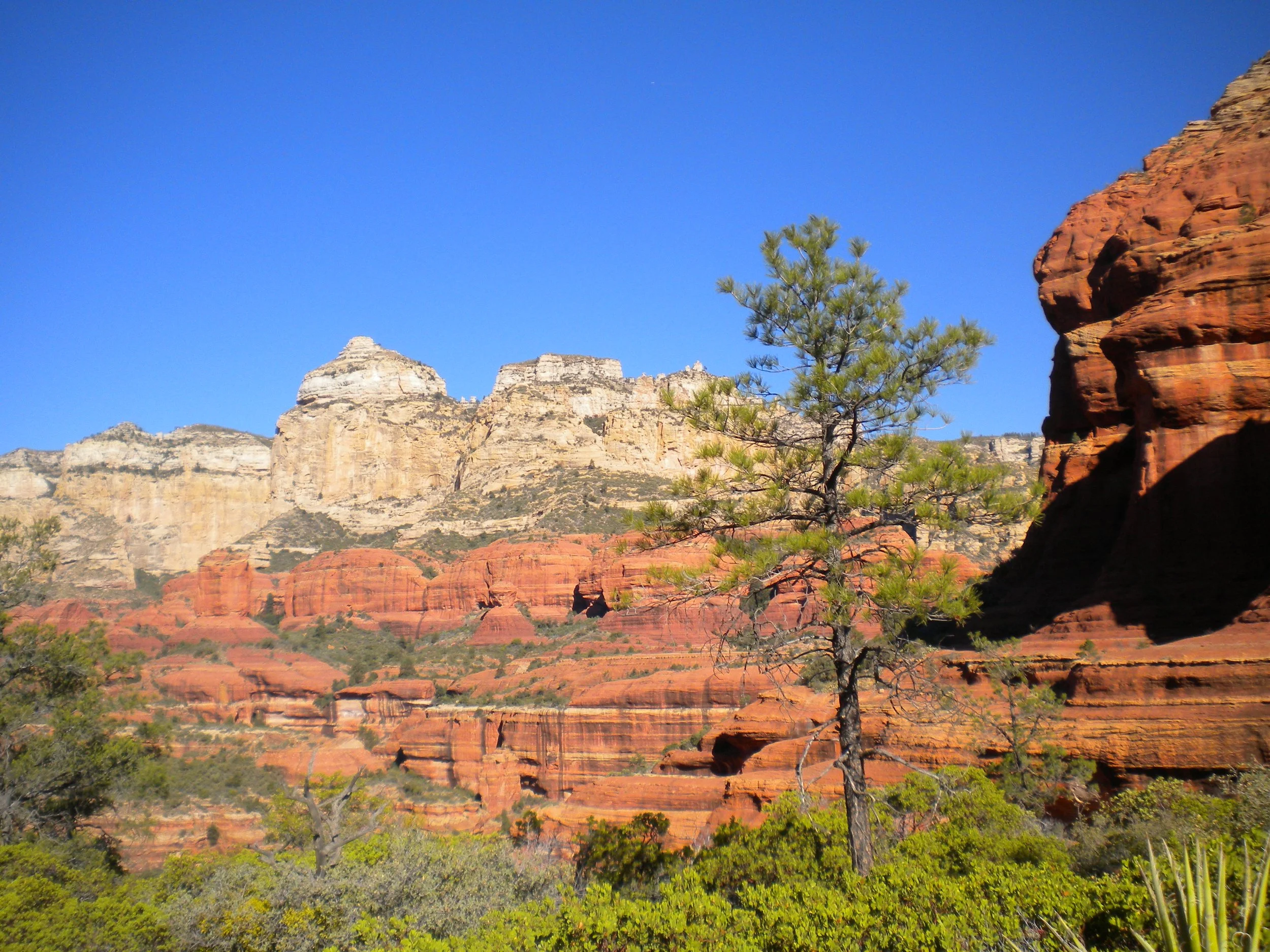 DSCN1068 copy.JPG (Copy)