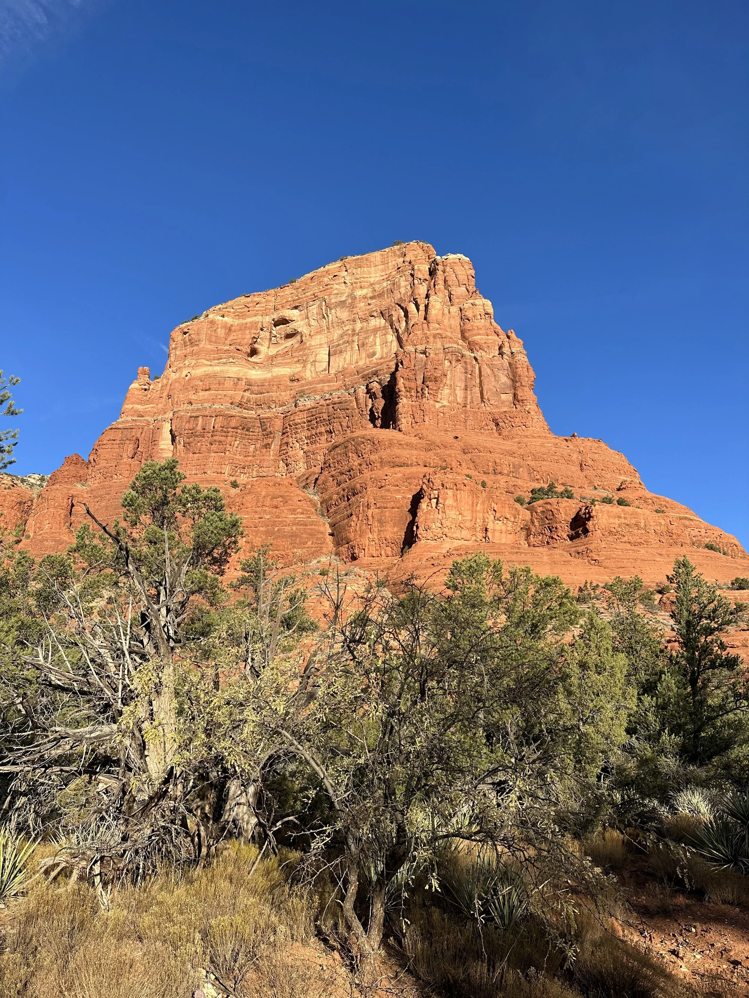 IMG_7336.jpeg (Copy)