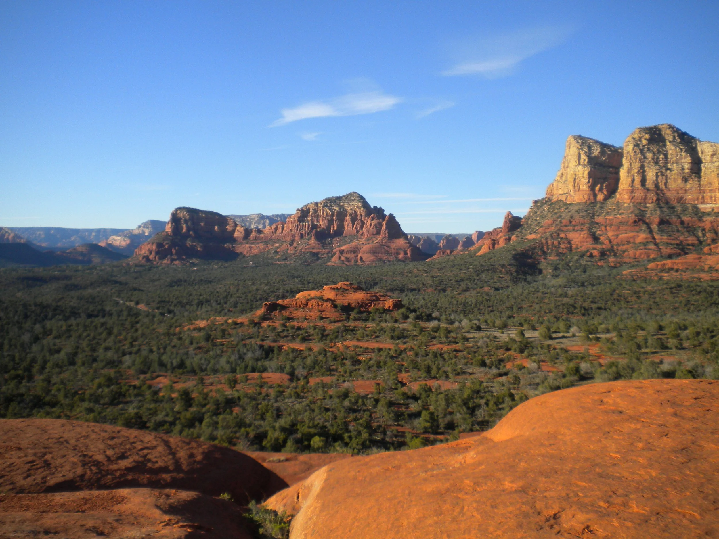 DSCN3943 copy.JPG (Copy)