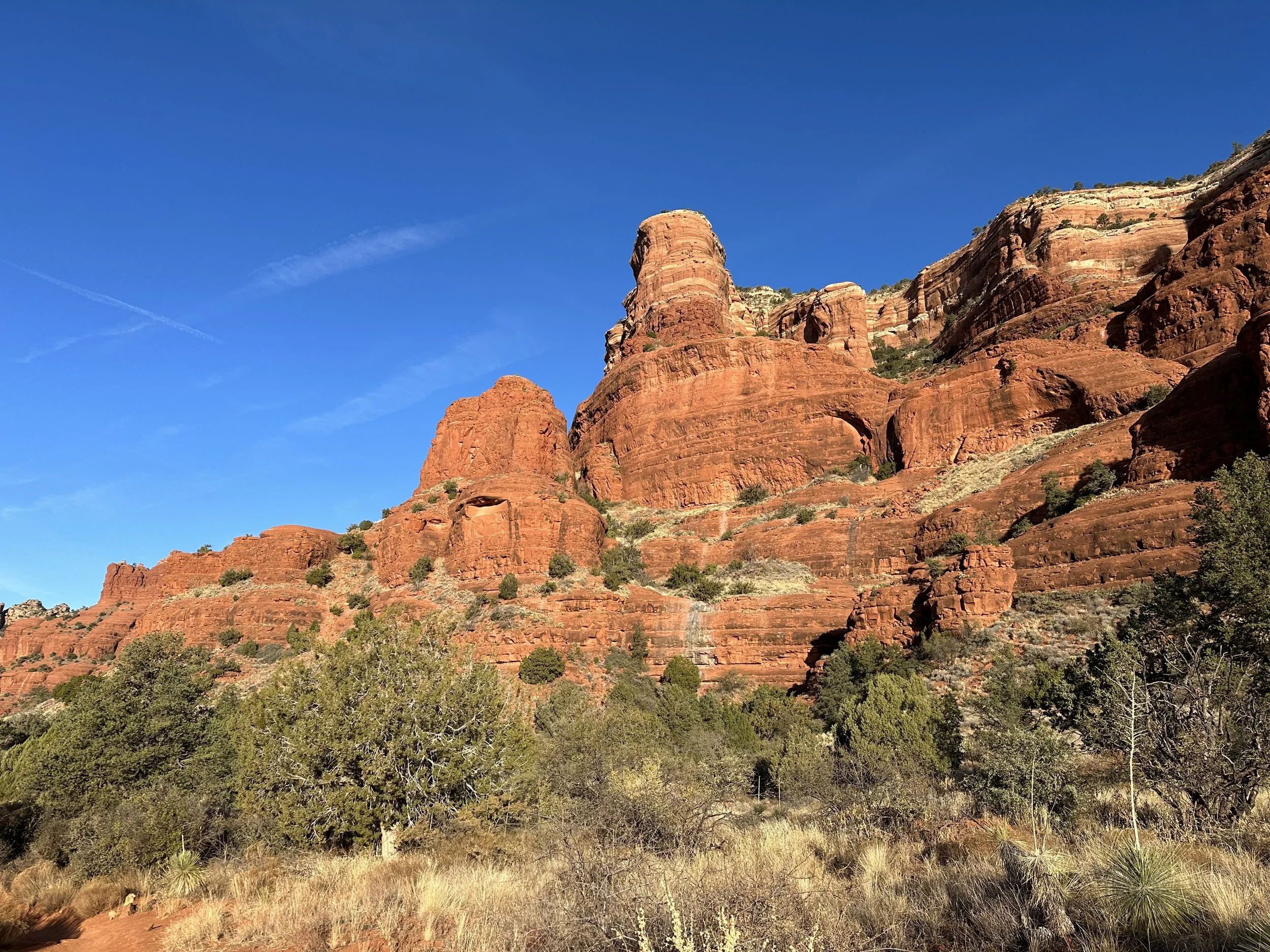 IMG_7335.jpeg (Copy)