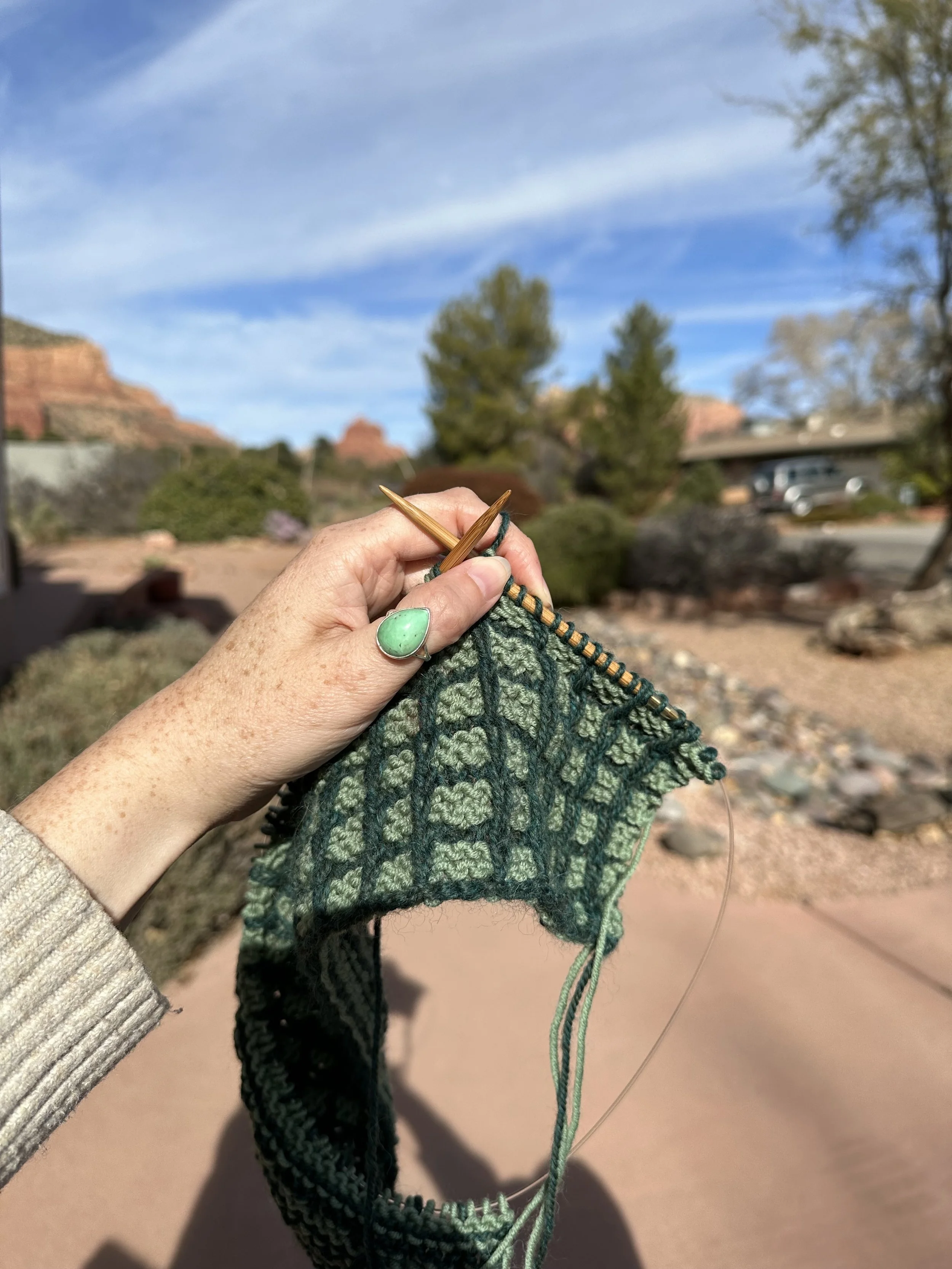 IMG_7604.jpeg (Copy)