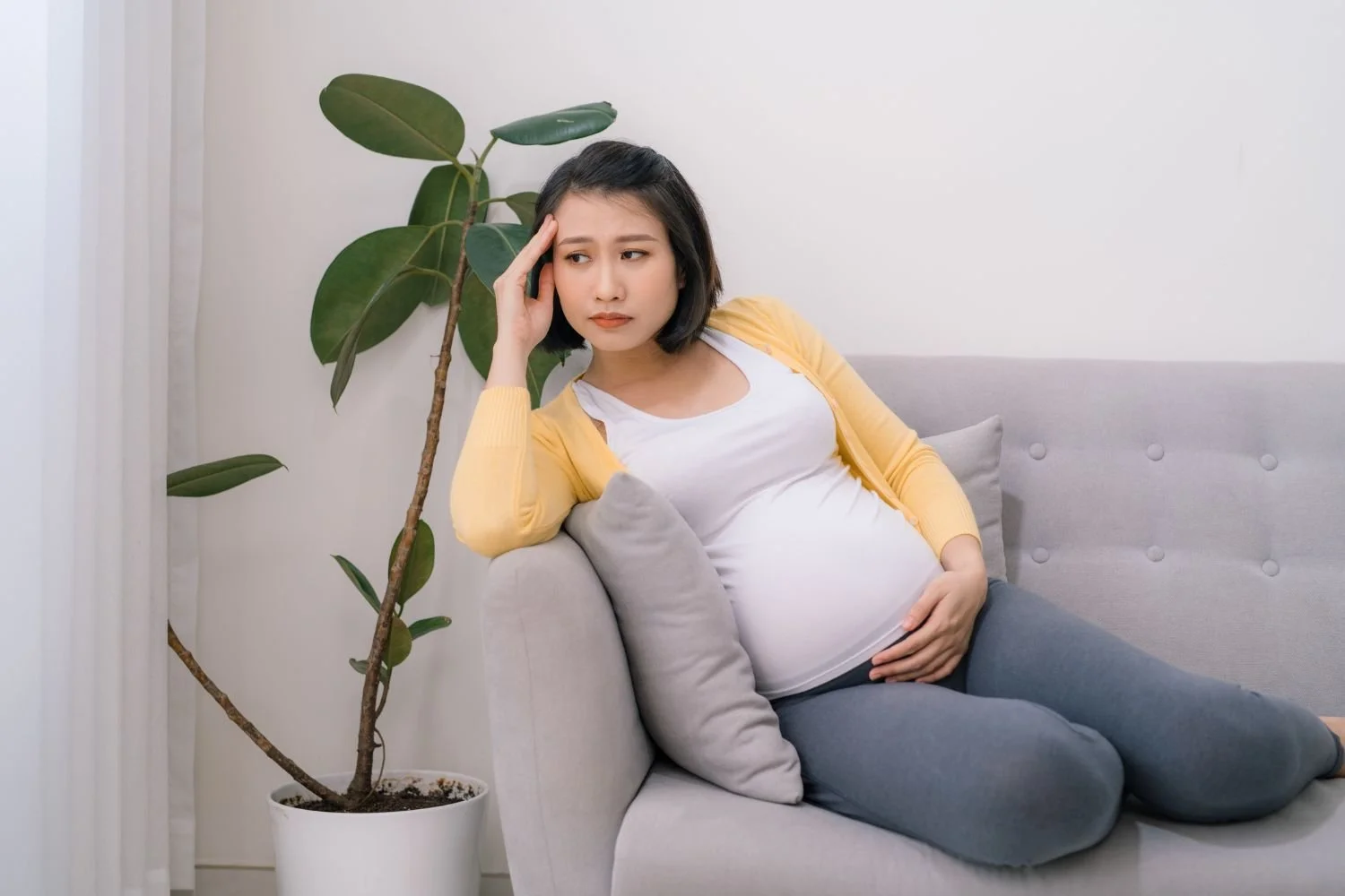 Perinatal Support in Florida