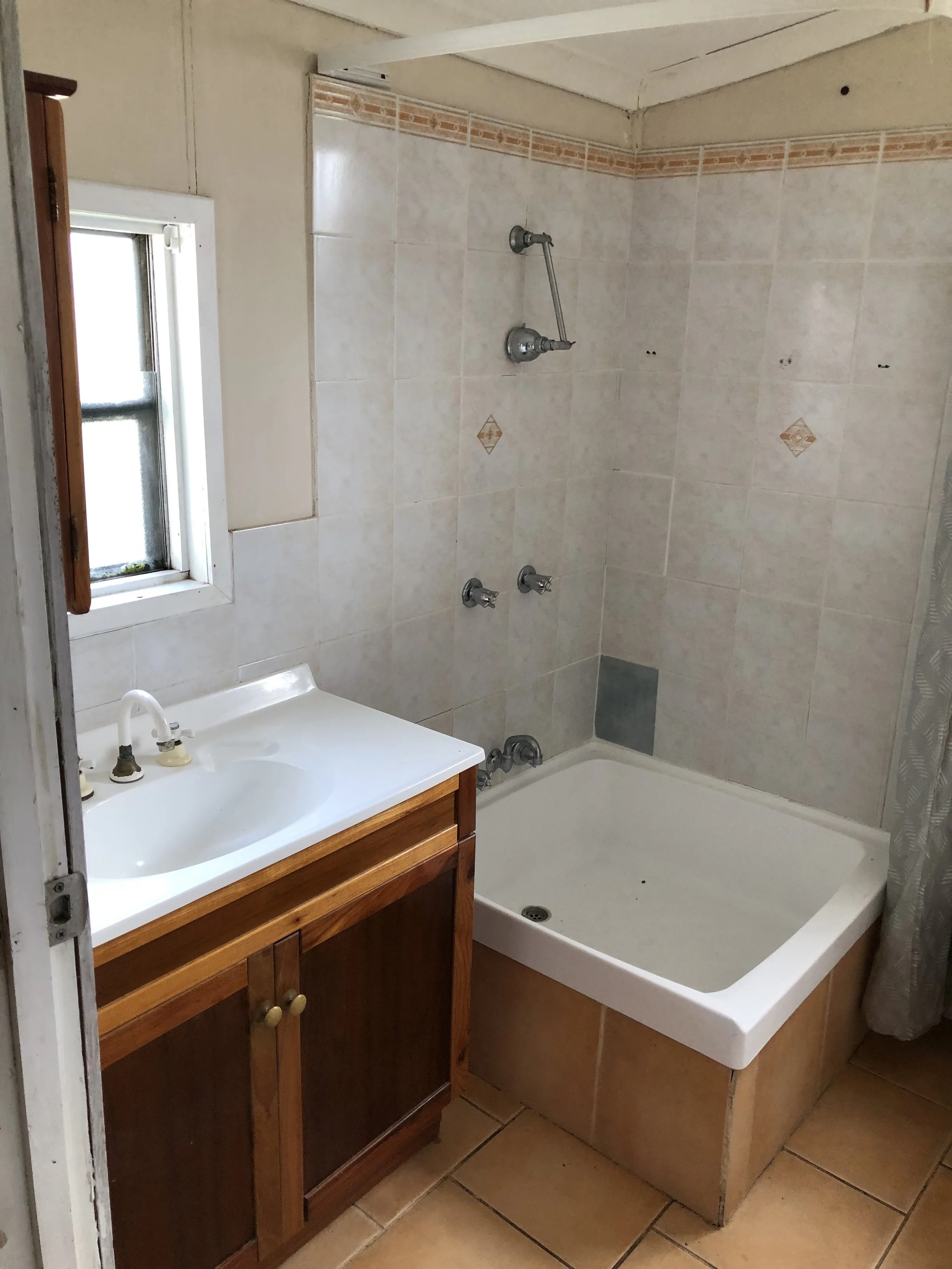 Bathroom before.jpg