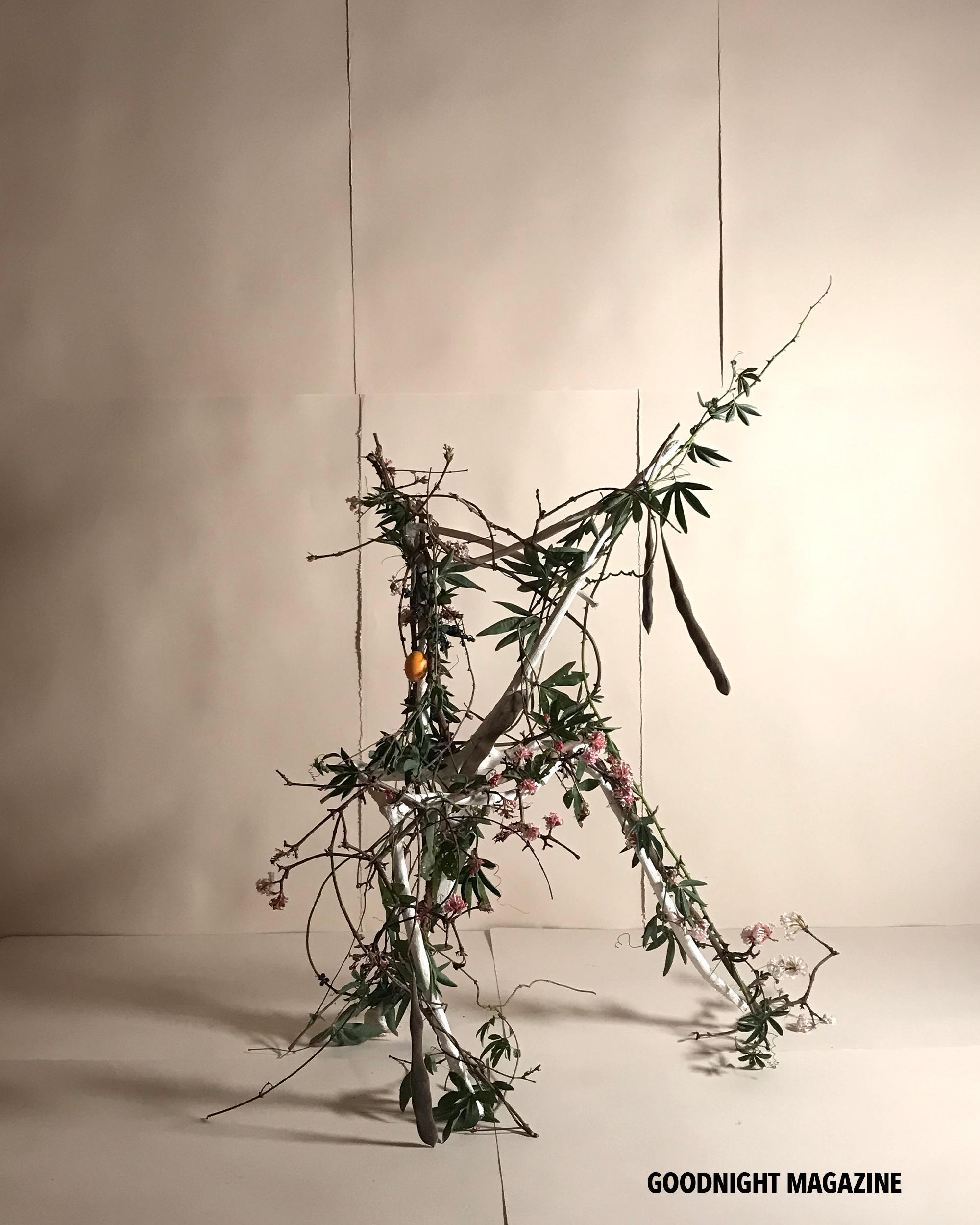 GN Karina Rikun 20 .png