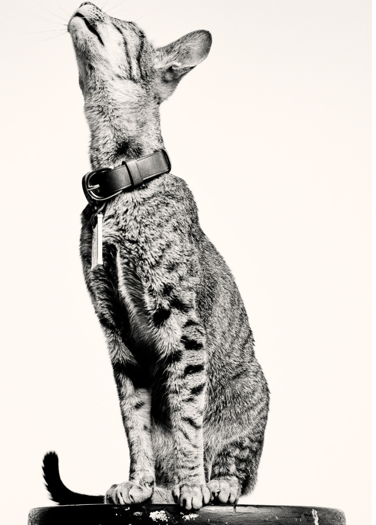 Screenshot 2026-01-15 at 11.43.10 PM.png