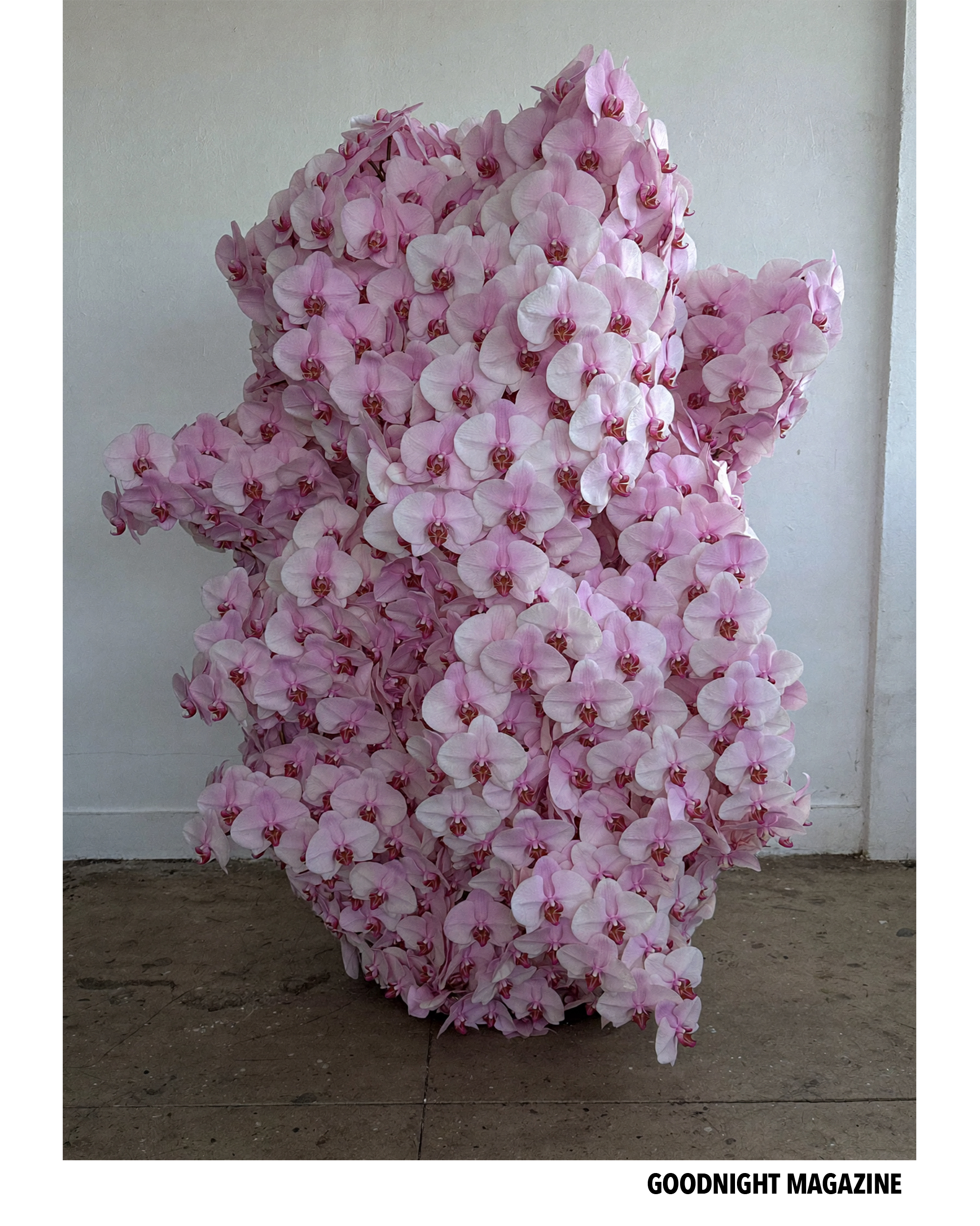 11 gn Yeeun Jang.png