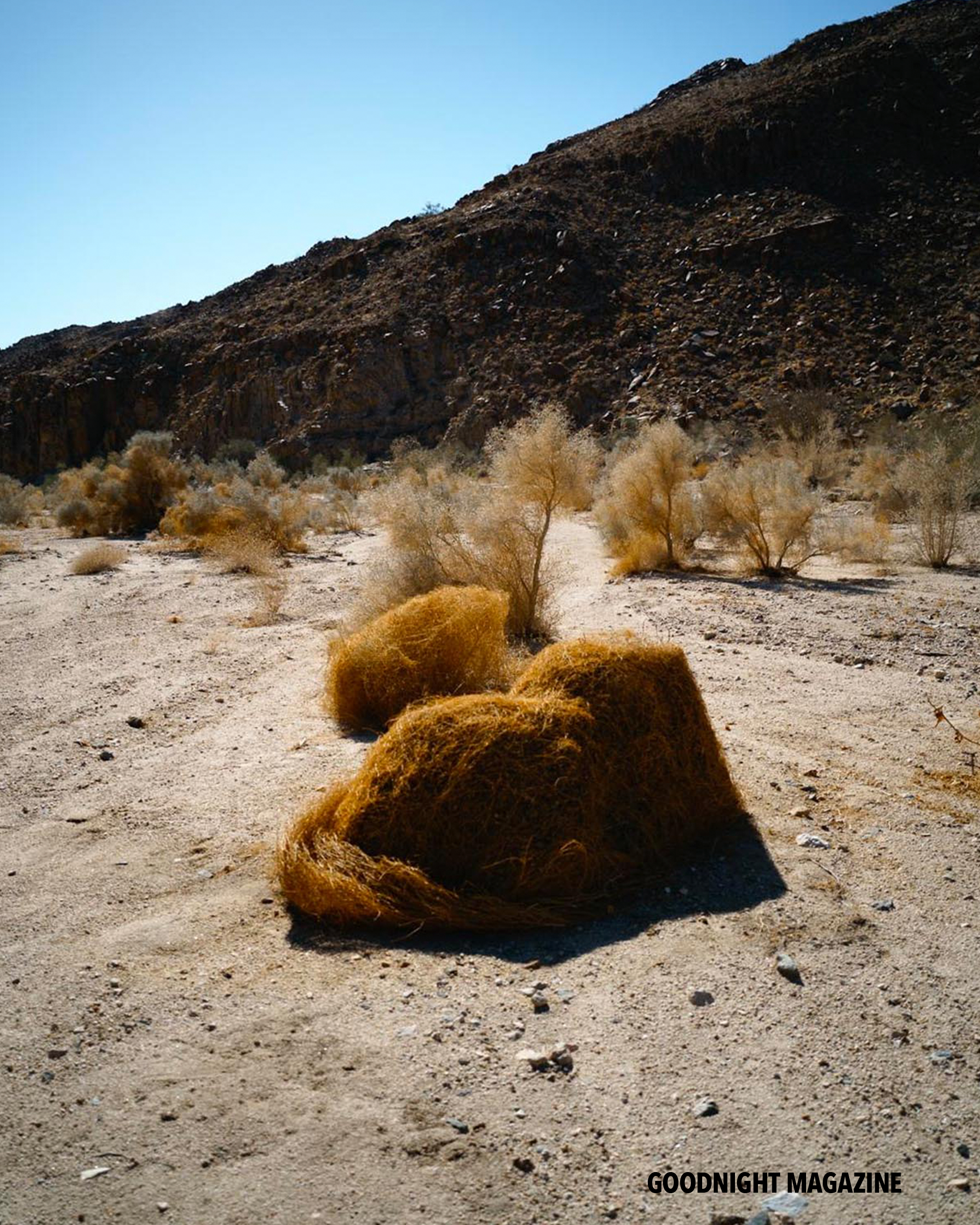 GN Karina Rikun 4 .png