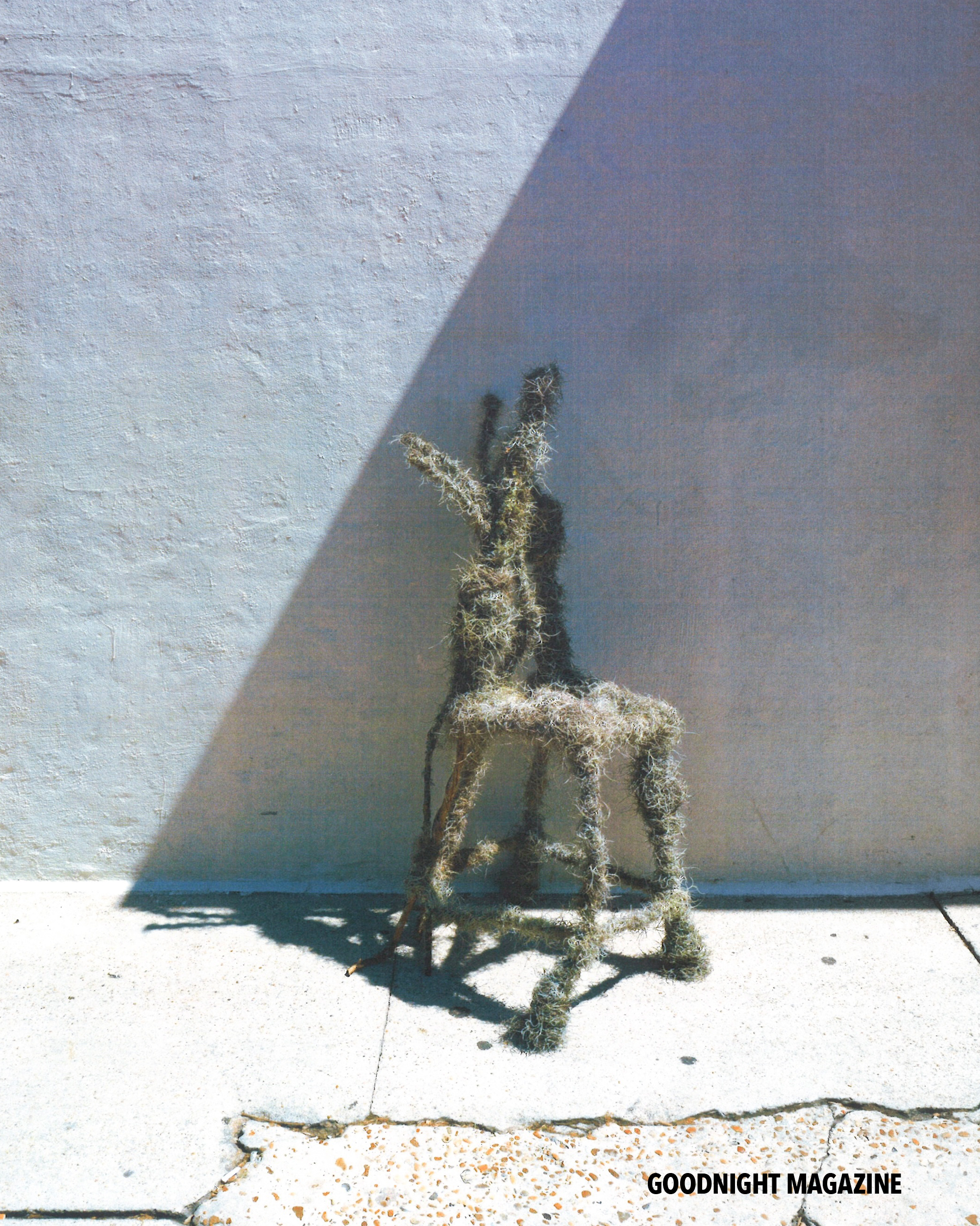 GN Karina Rikun 3.png