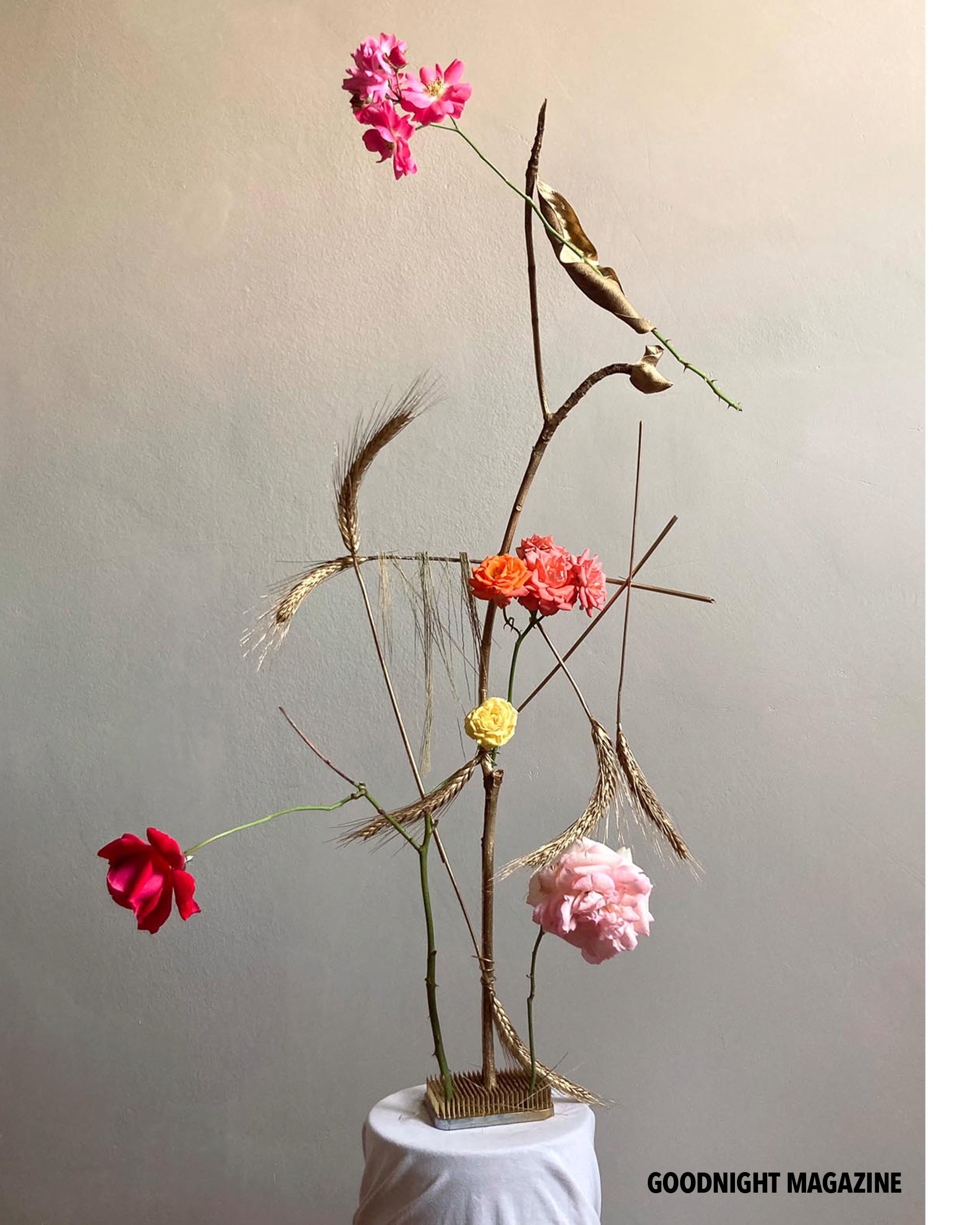 GN Karina Rikun 7 .png