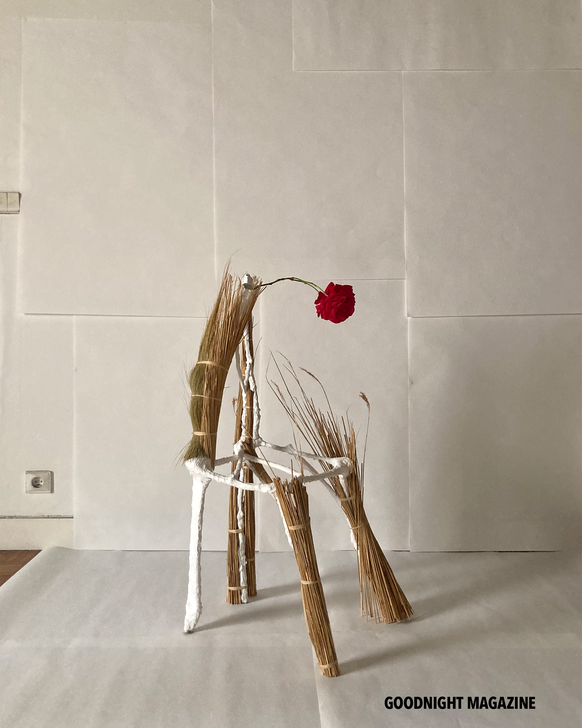 GN Karina Rikun 19 .png