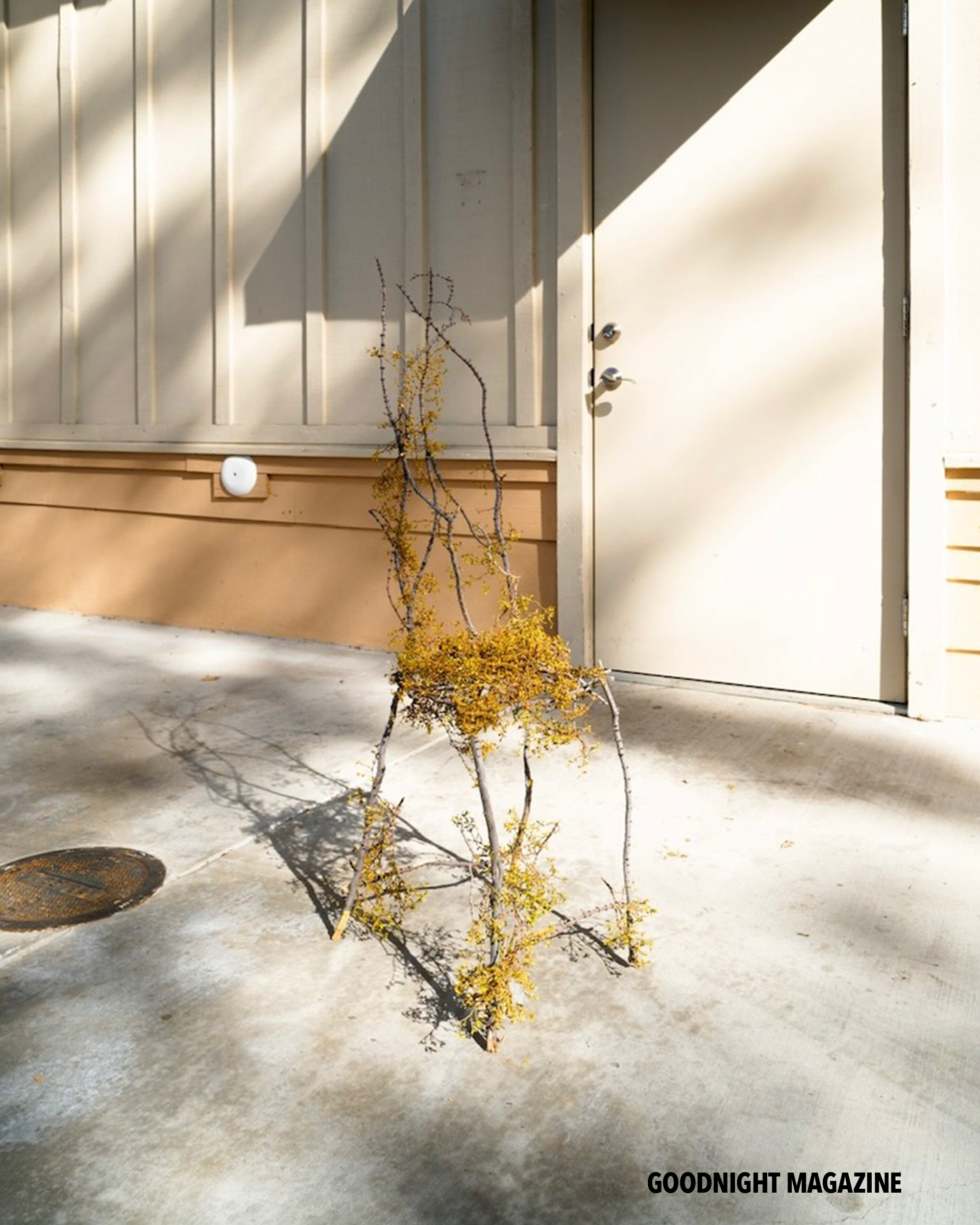 GN Karina Rikun 16 .png