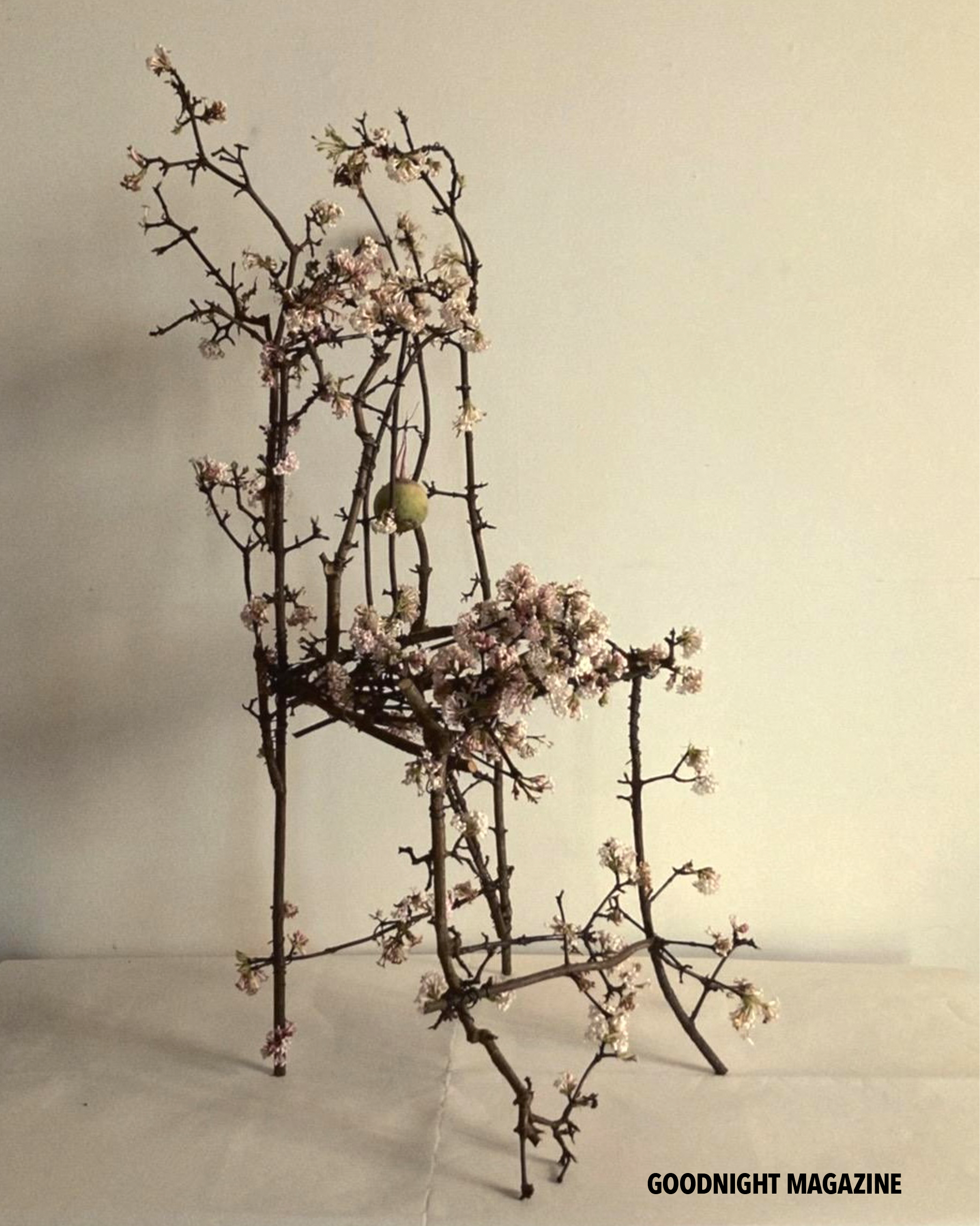 GN Karina Rikun 2 .png