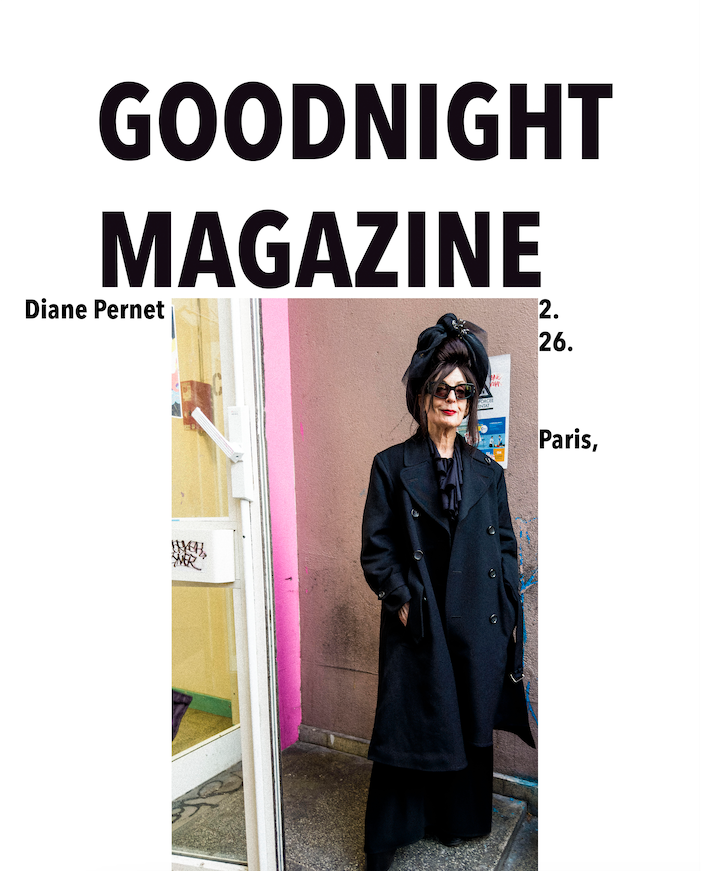 DIANE PERNET a fashion icon