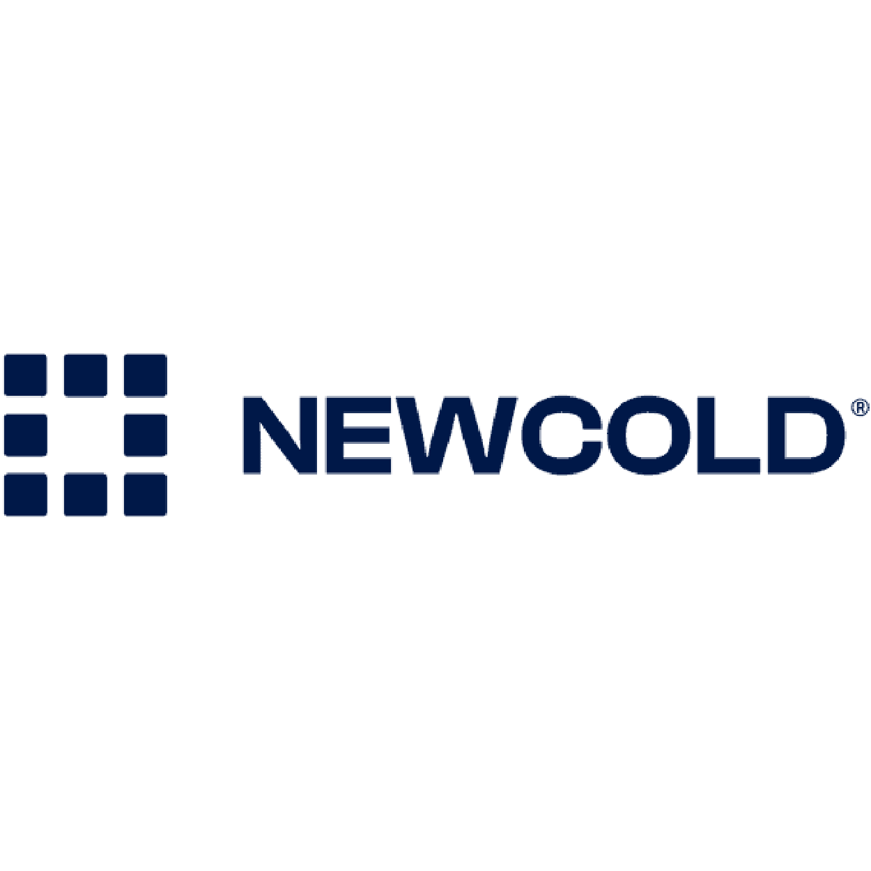 Newgold logo with a stylized grid of dark blue squares and the company name 'NEWGOLD' in bold dark blue letters.