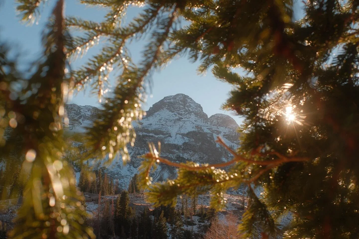 FUJIFILM Colors are Incredible

These photos are straight out of camera. No editing, no masking, no tinkering and tuning - and it feels almost like cheating. But it&rsquo;s done one thing that I haven&rsquo;t had in a while.

Its made photography fun