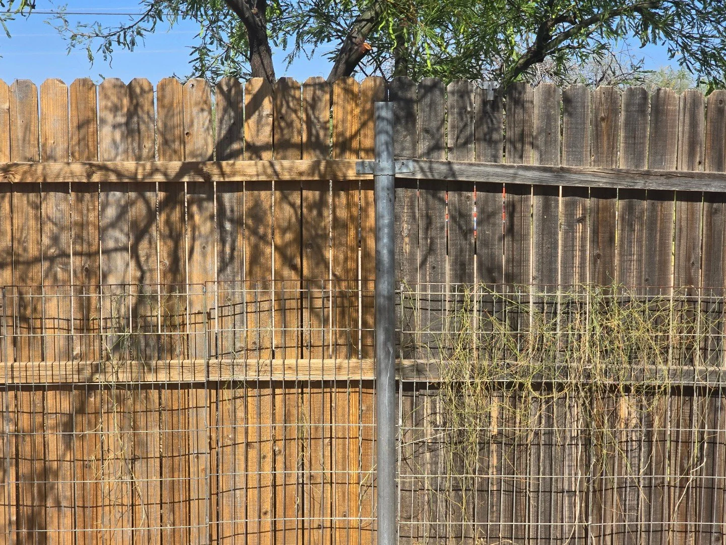 🪵✨ Fence Cleaning Transformation! ✨🪵

Check out this side-by-side &mdash; one half restored, the other left untreated. The difference speaks for itself! 💥

Over time, fences collect dirt, mold, and sun damage that make them look old and worn down.