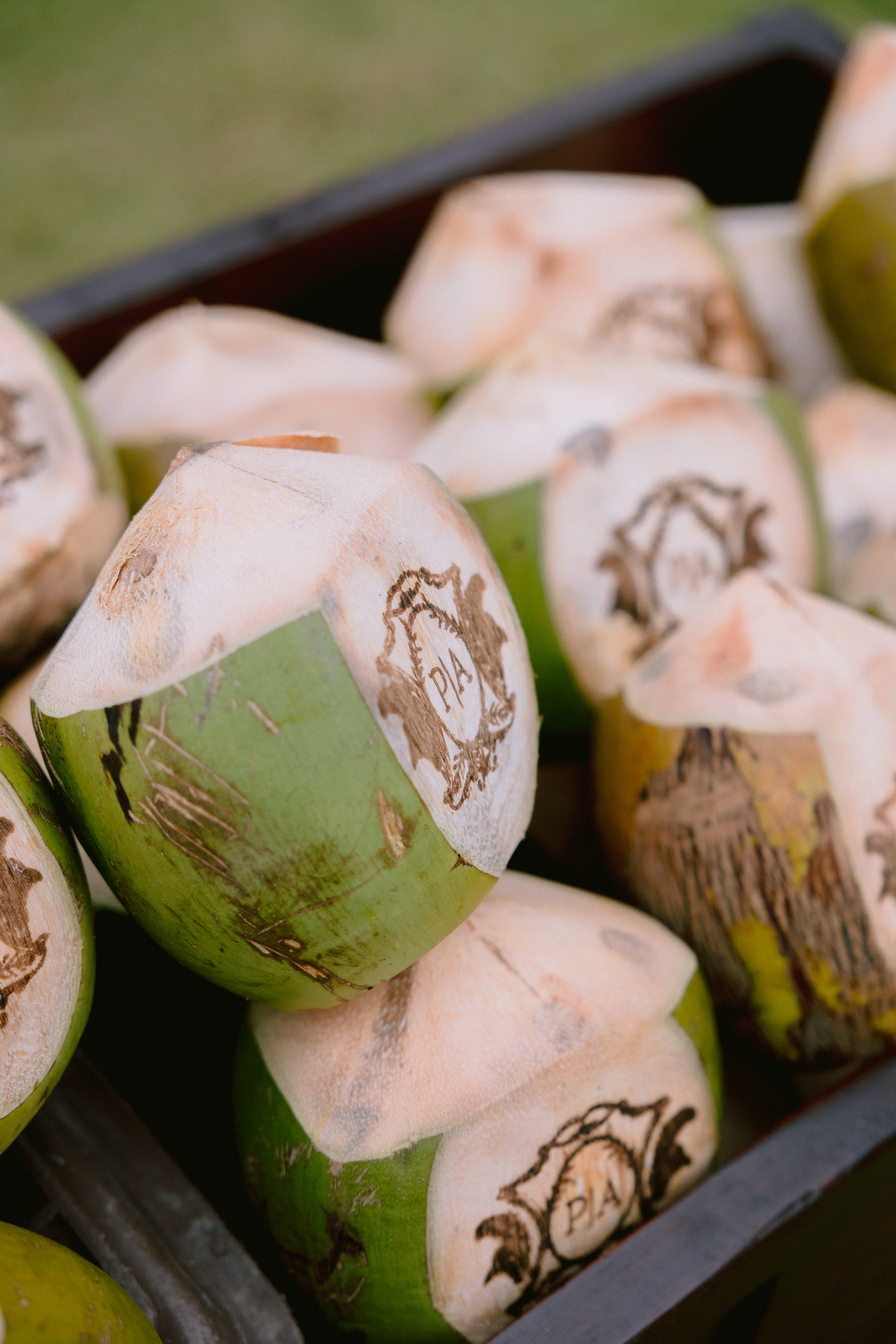 Close-up of fresh green coconuts with partially opened tops, showing the white inner shells with a logo that appears to be a crest or emblem, in a basket or container.
