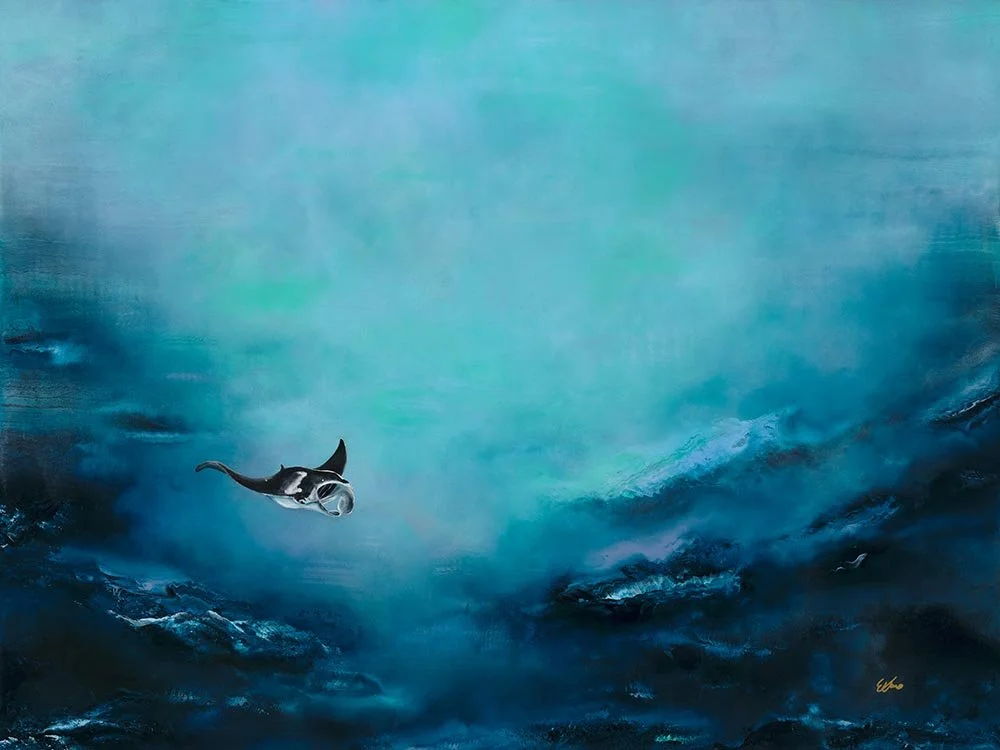 Manta Blue