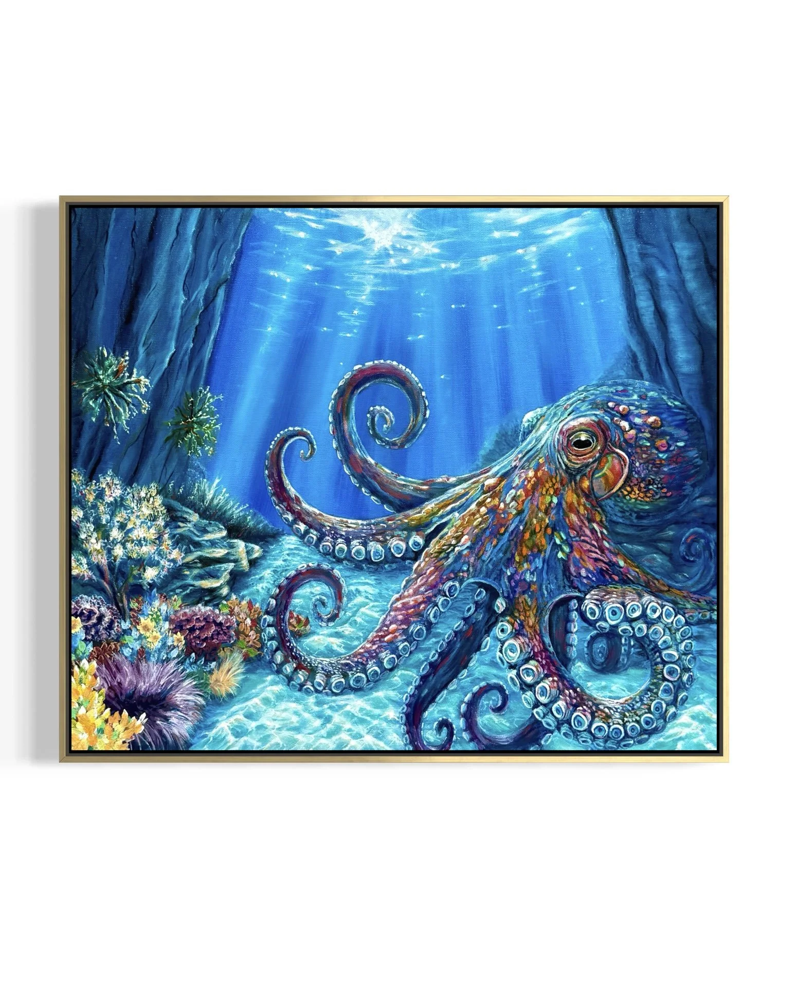 Illuminating the Oracle