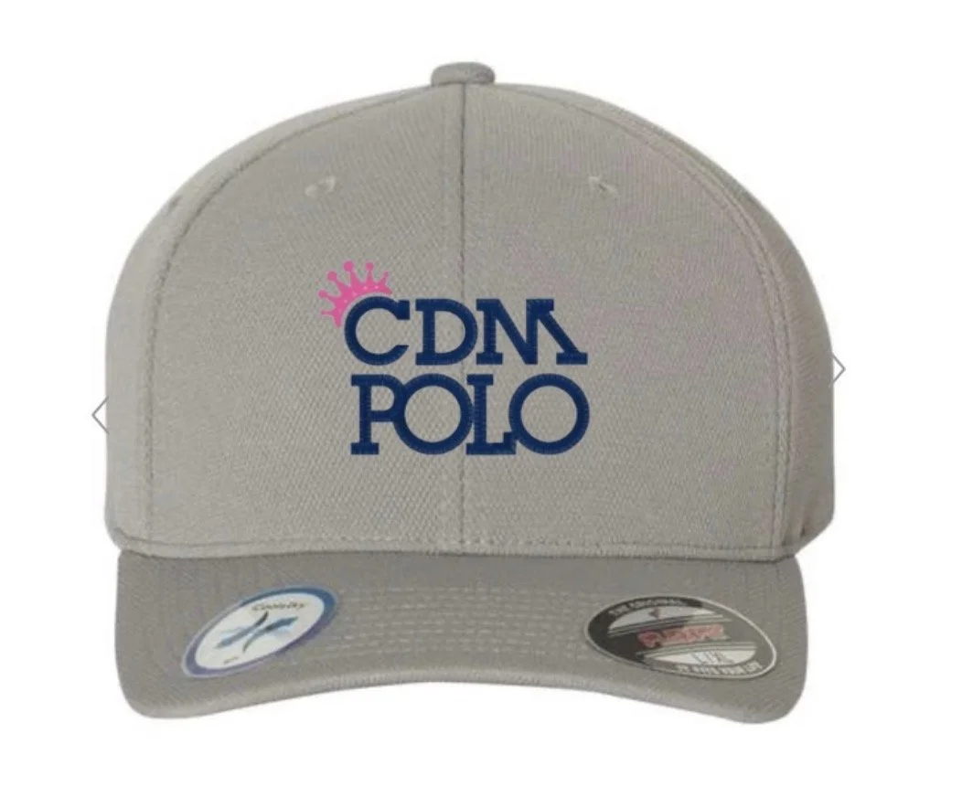 Fitted Hat - GRAY