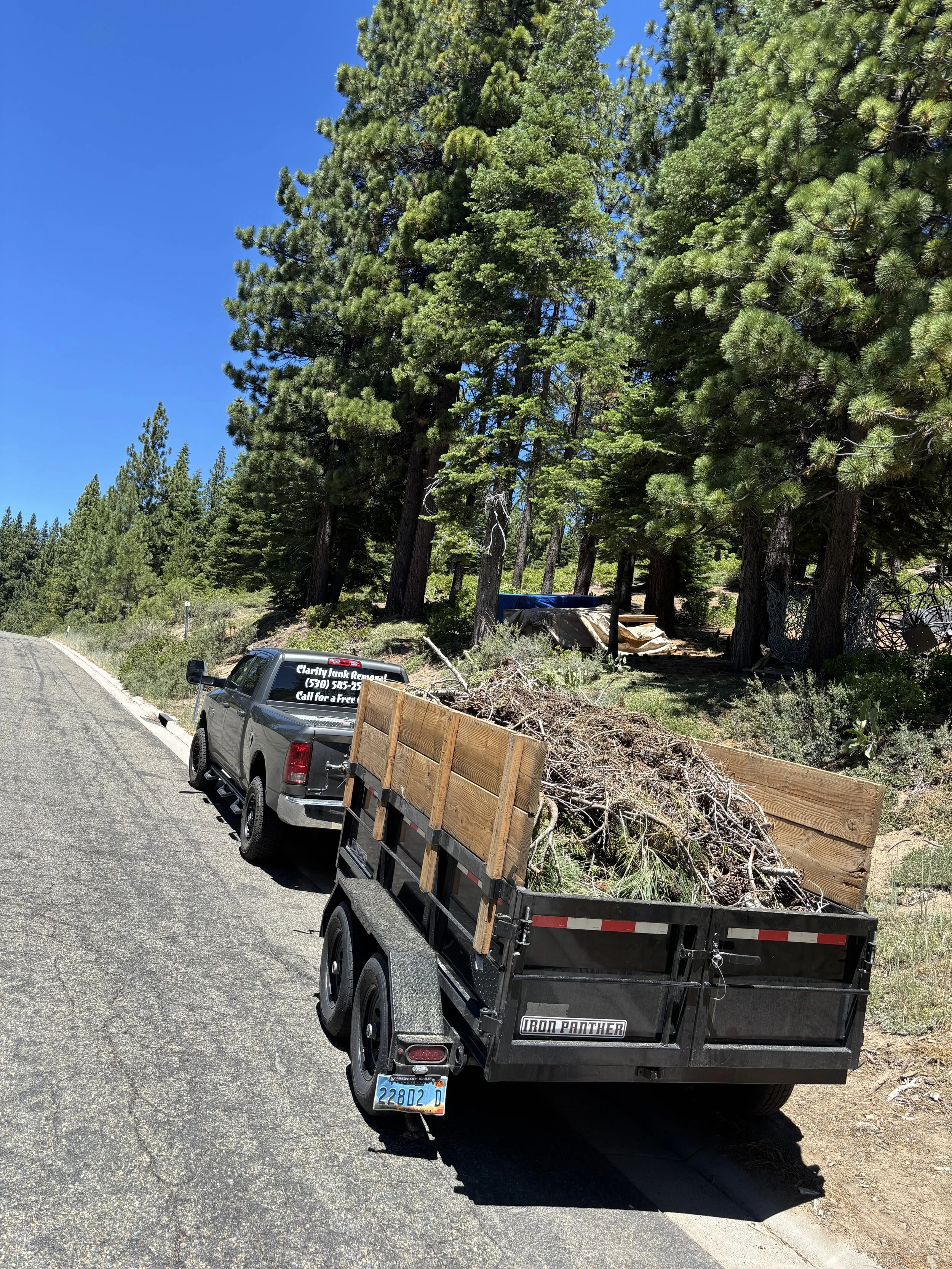 Yard clean ups, defensible space management, and pine needle clean up in South Lake Tahoe, Ca.