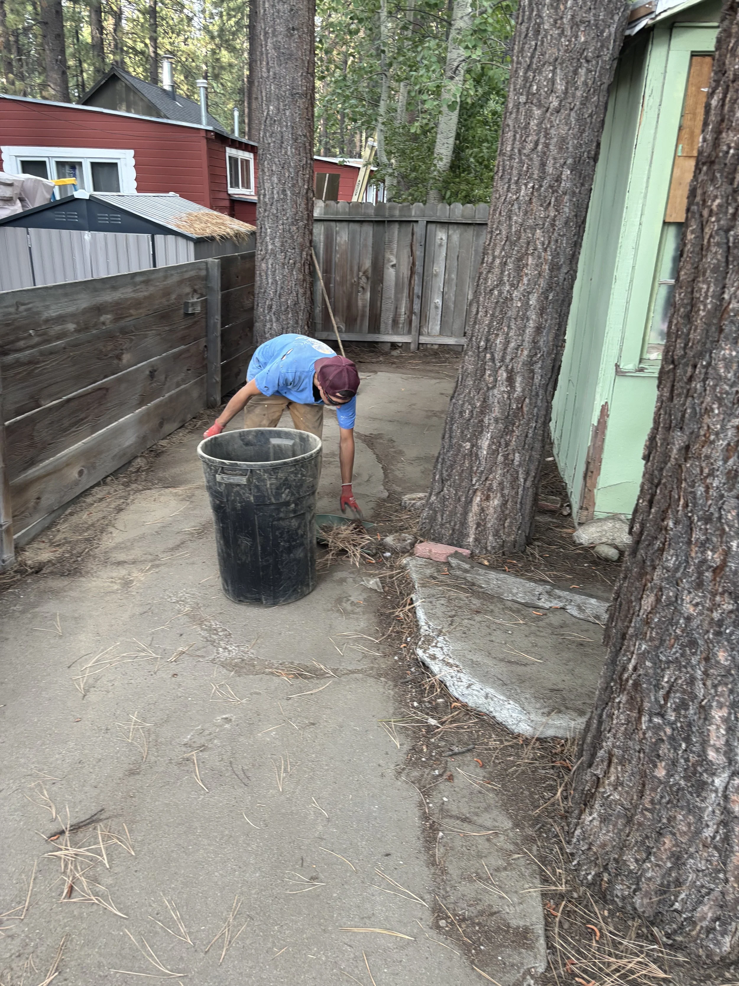 Person wearing a maroon cap, blue t-shirt, and beige pants working on a soil surface with a broom, near large trees and a wooden fence in a backyard, with a green shed on the right.