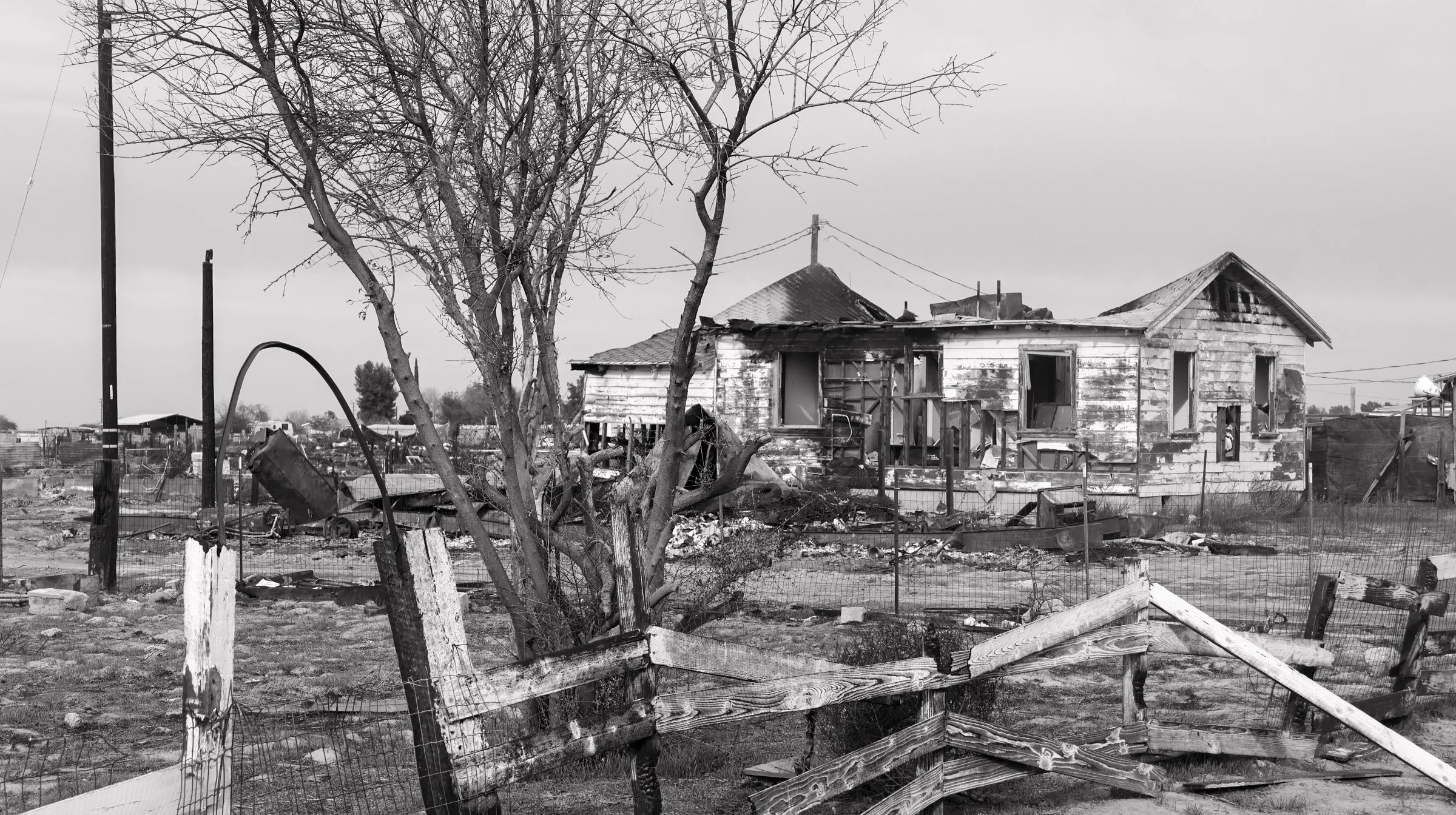 mashup—animals and Isabella_Neenma-09 copy.jpg