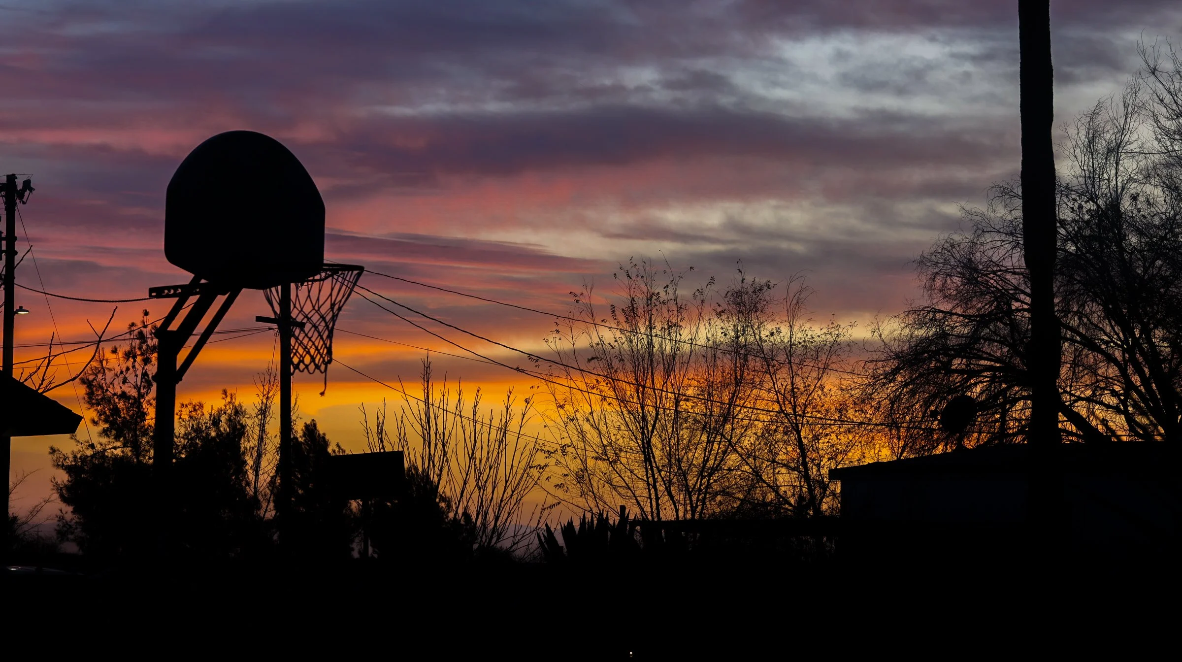 mashup—animals and Isabella_Neenma-34 copy.jpg