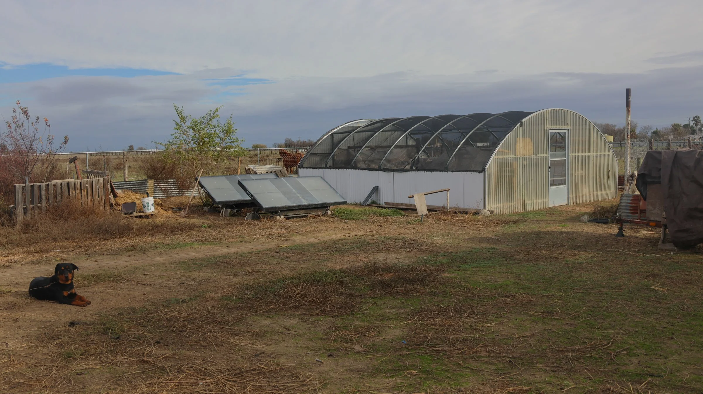 mashup—animals and Isabella_Neenma-65 copy.jpg