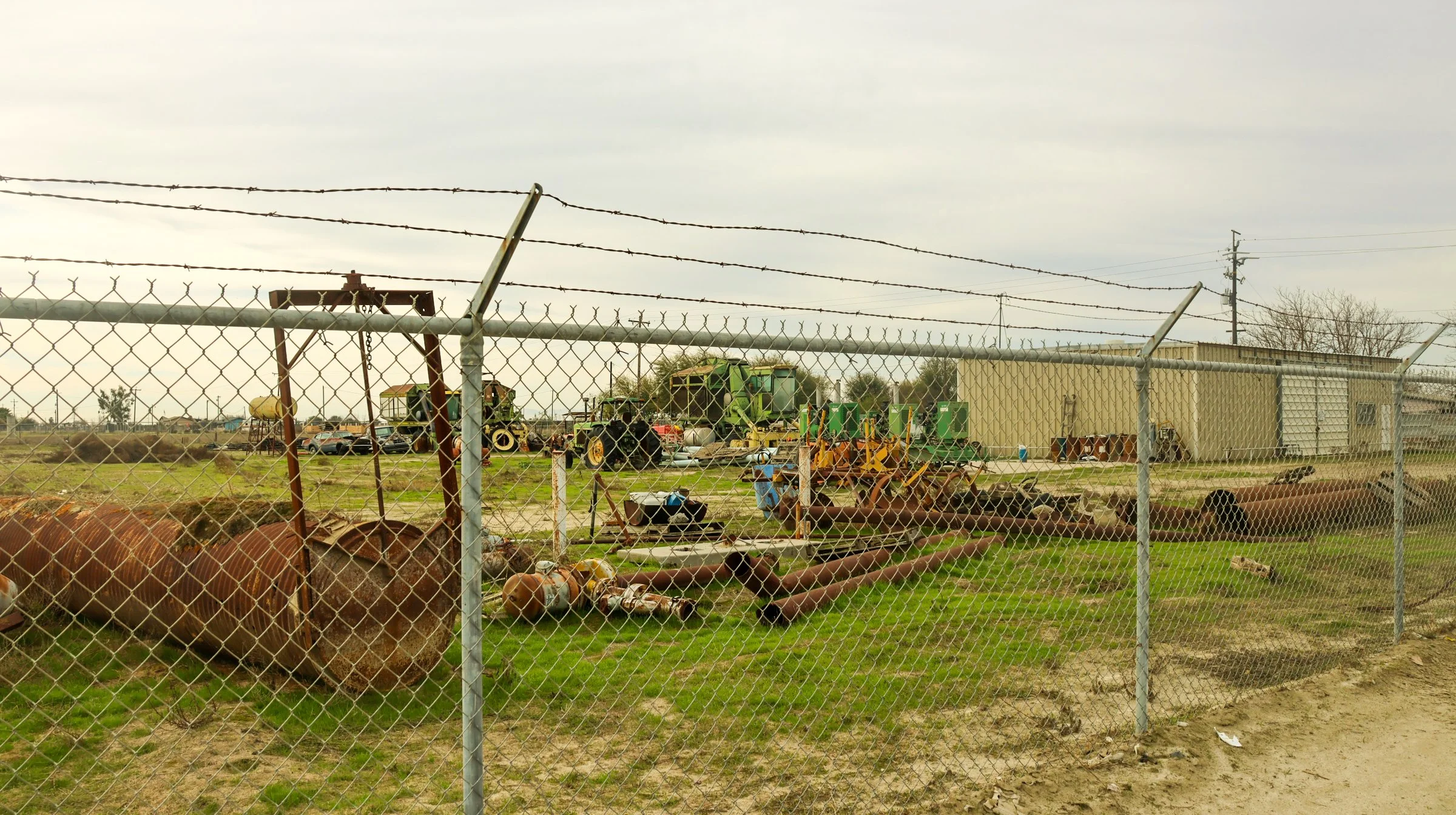 mashup—animals and Isabella_Neenma-06.jpg