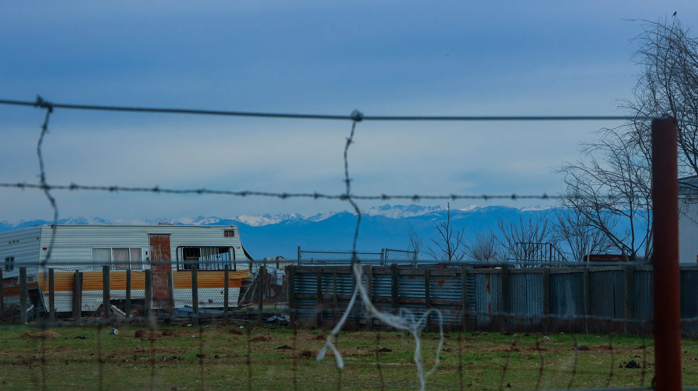 mashup—animals and Isabella_Neenma-03.jpg