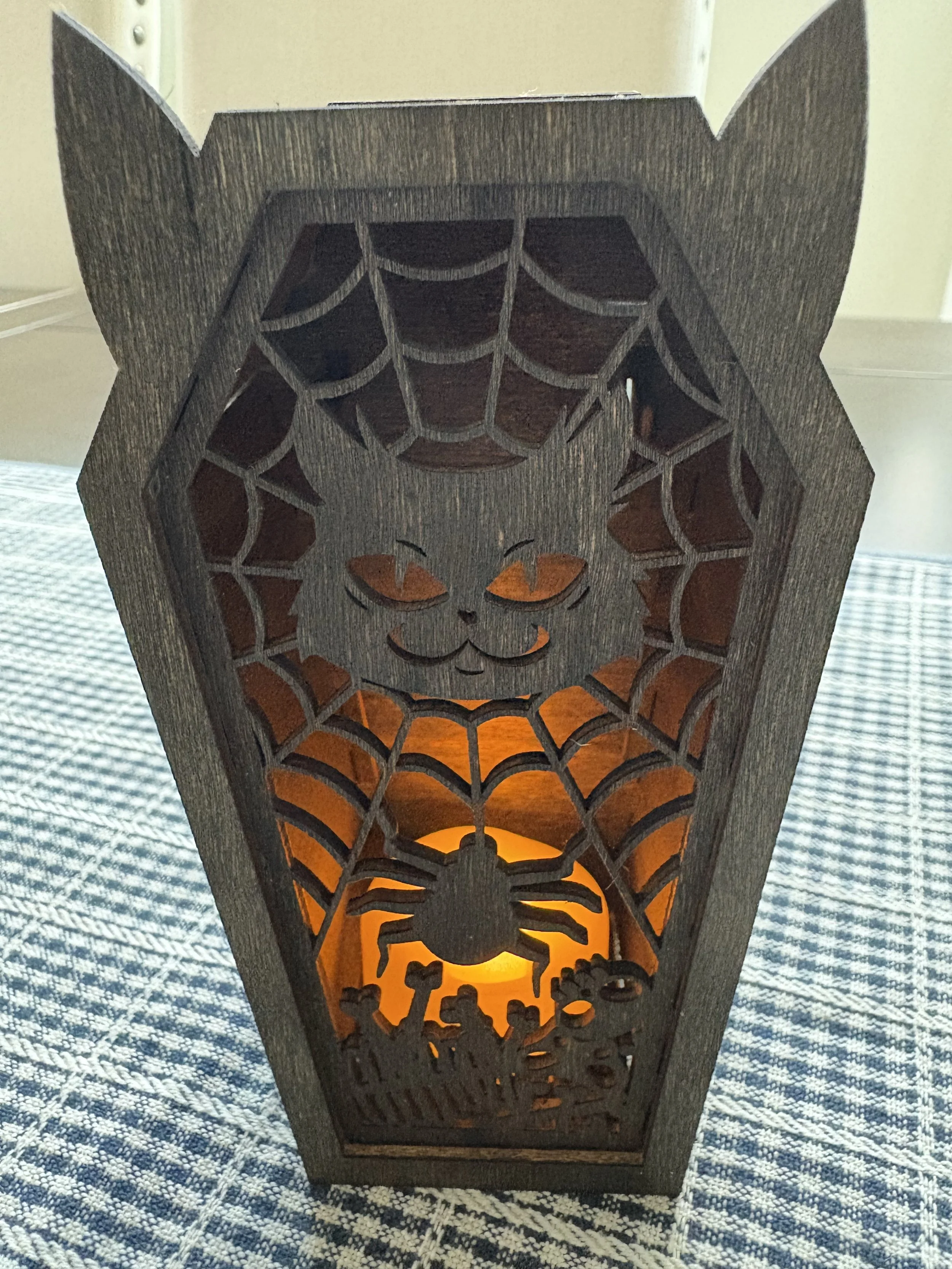 H Lantern Spider Web.jpeg