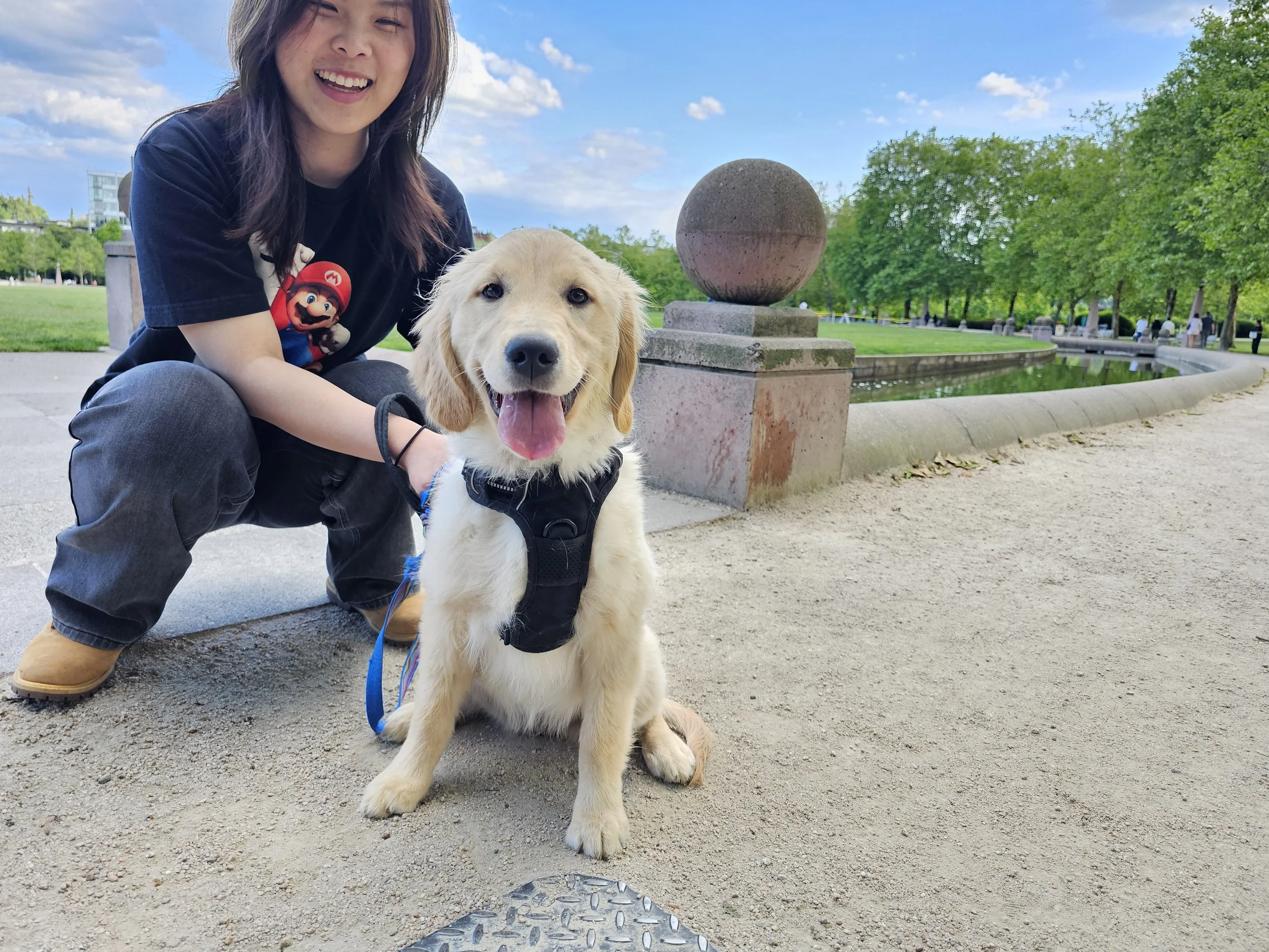 STAR Puppy Class @ PP Kirkland