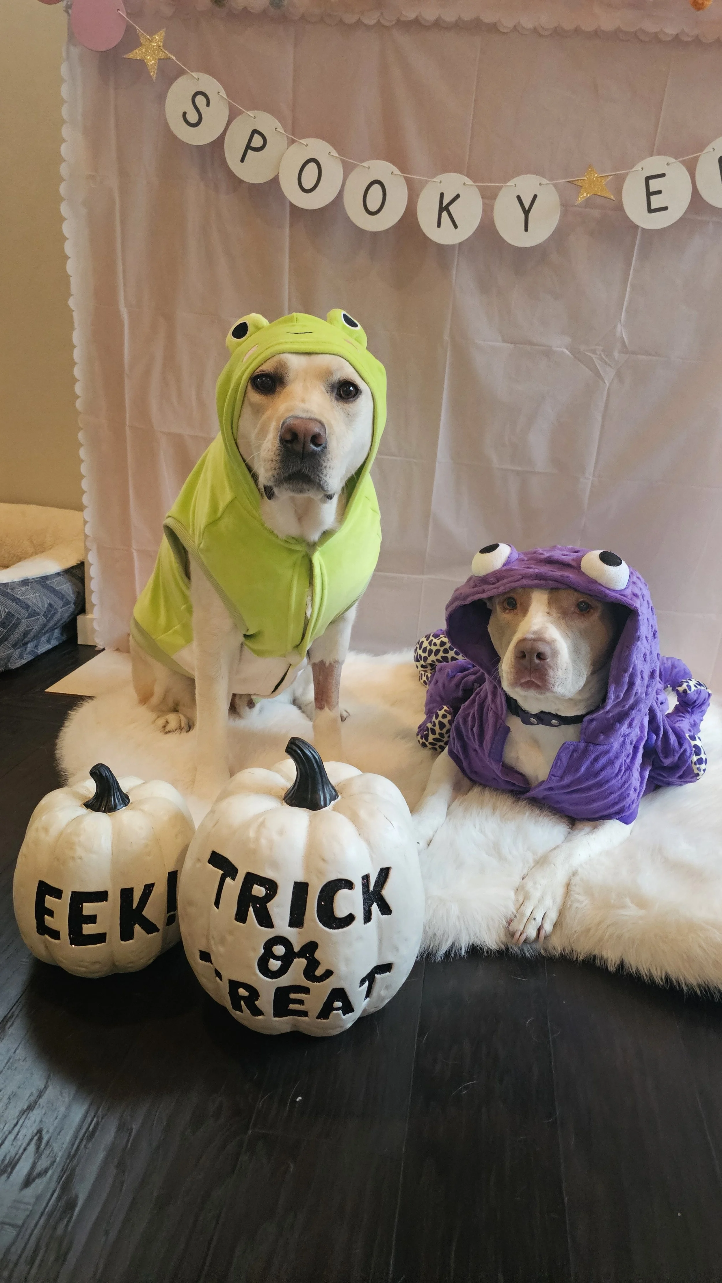 Halloween Party @ PP Redmond