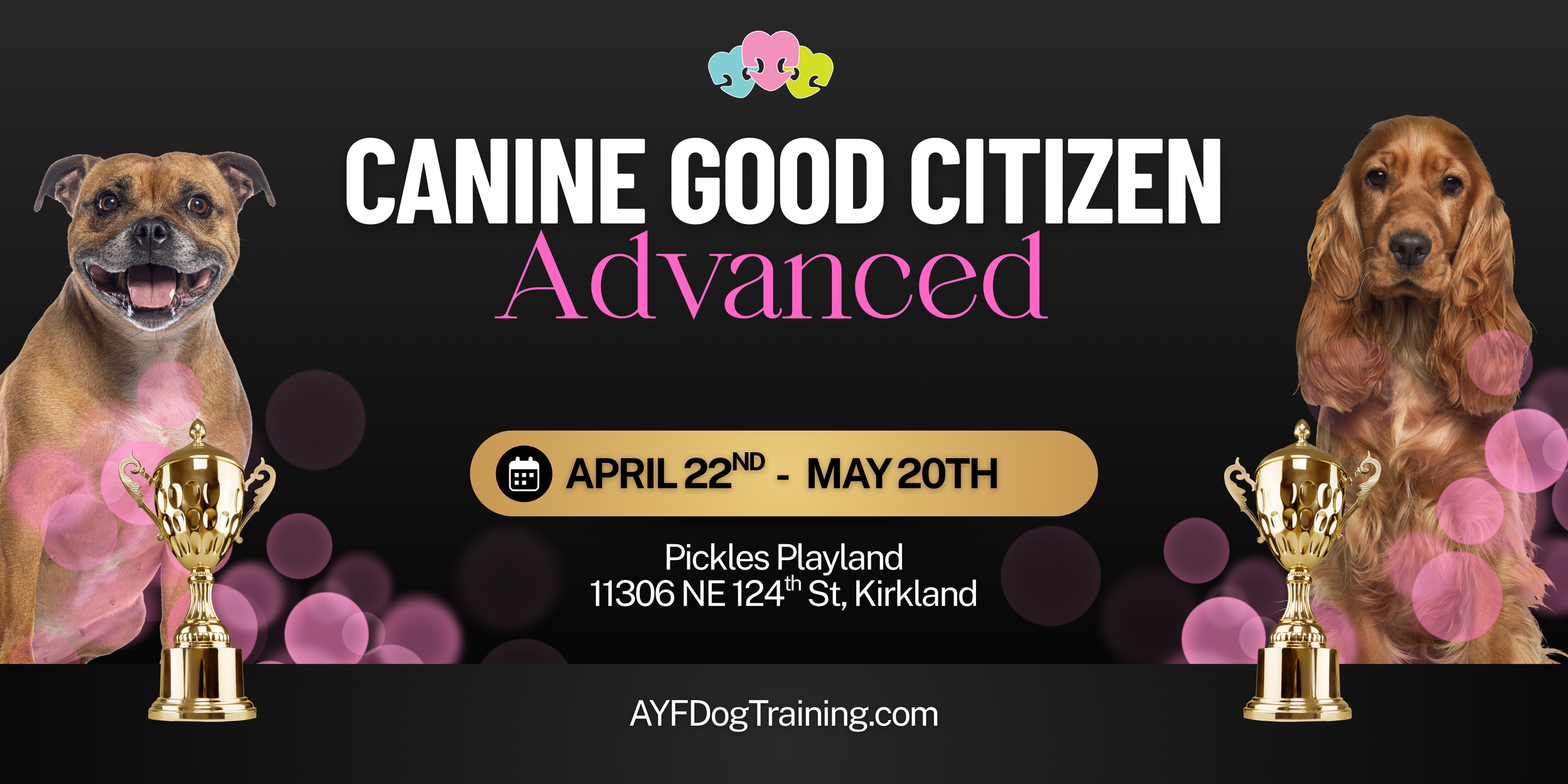 Canine Good Citizen ADVANCED class