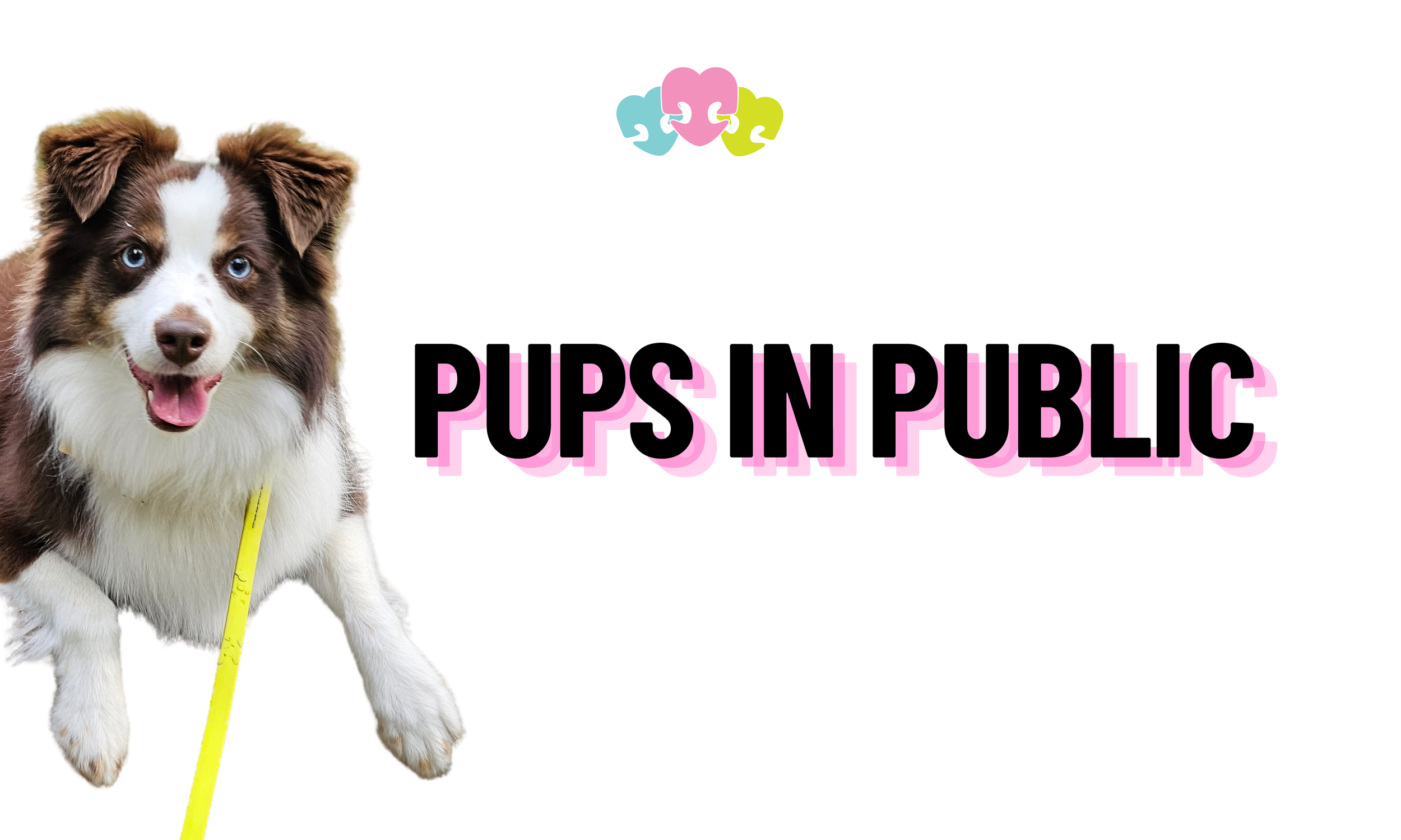 Pups in Public