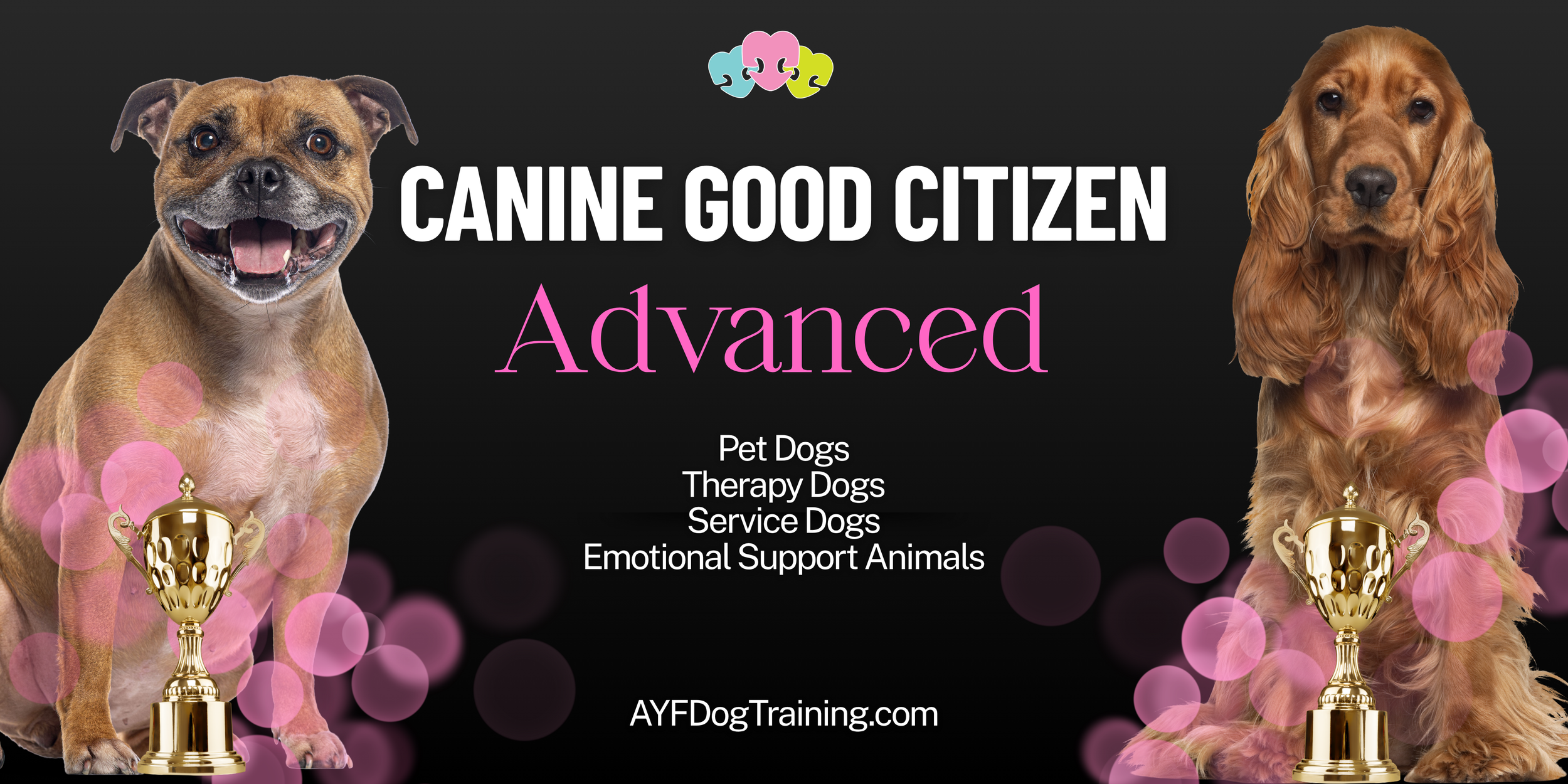 Canine Good Citizen ADVANCED class 