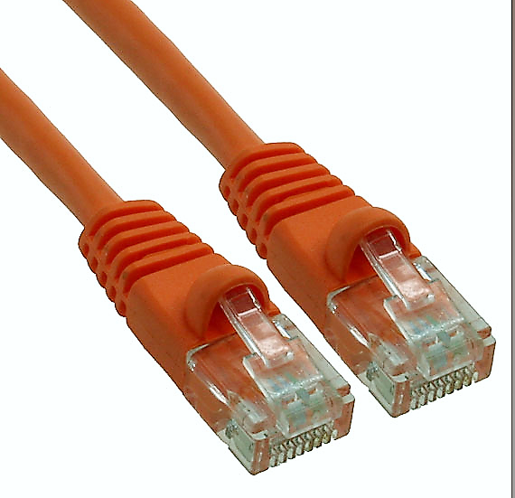 cat5orange.png