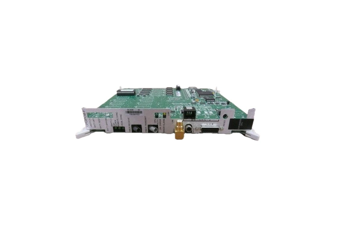 6185004.jpg