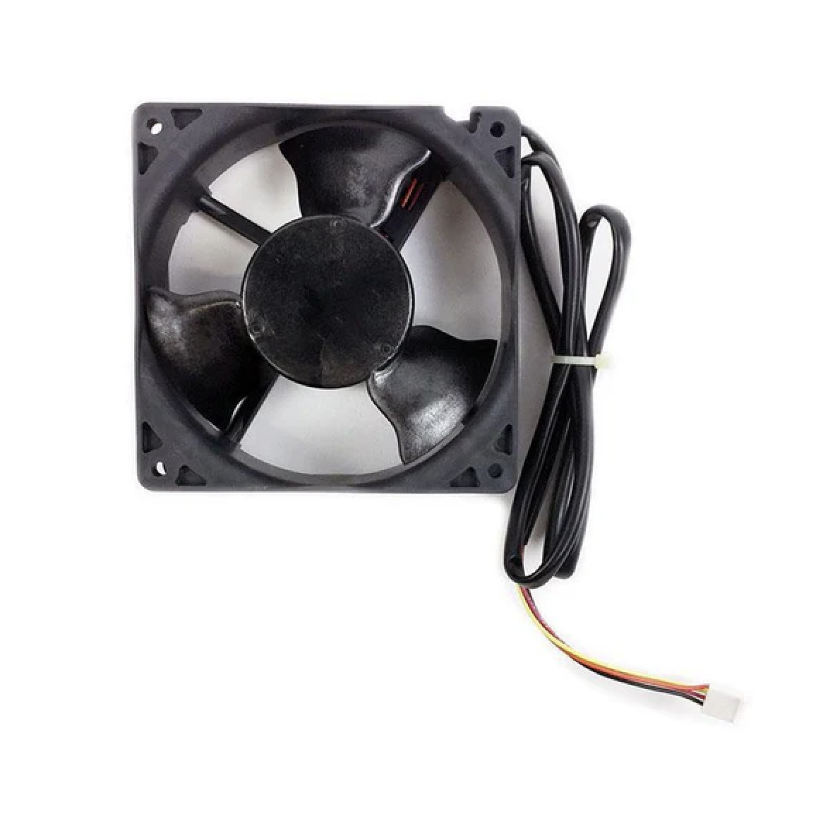 fan3.png