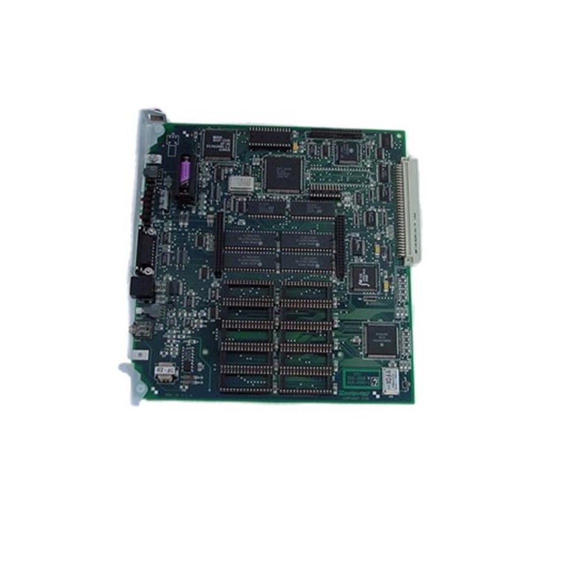 6185004.jpg
