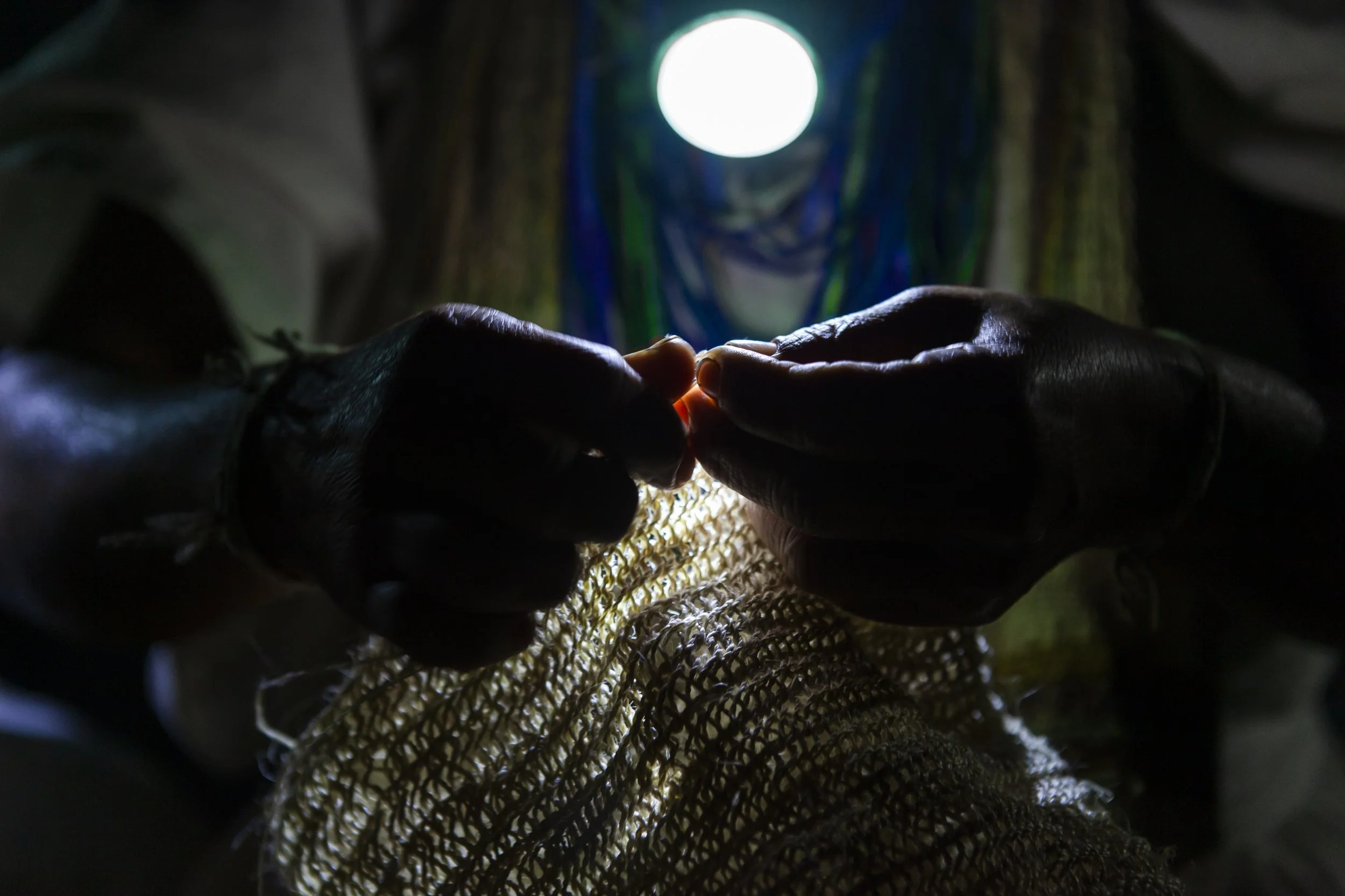 Behind the Brand “Delzur”