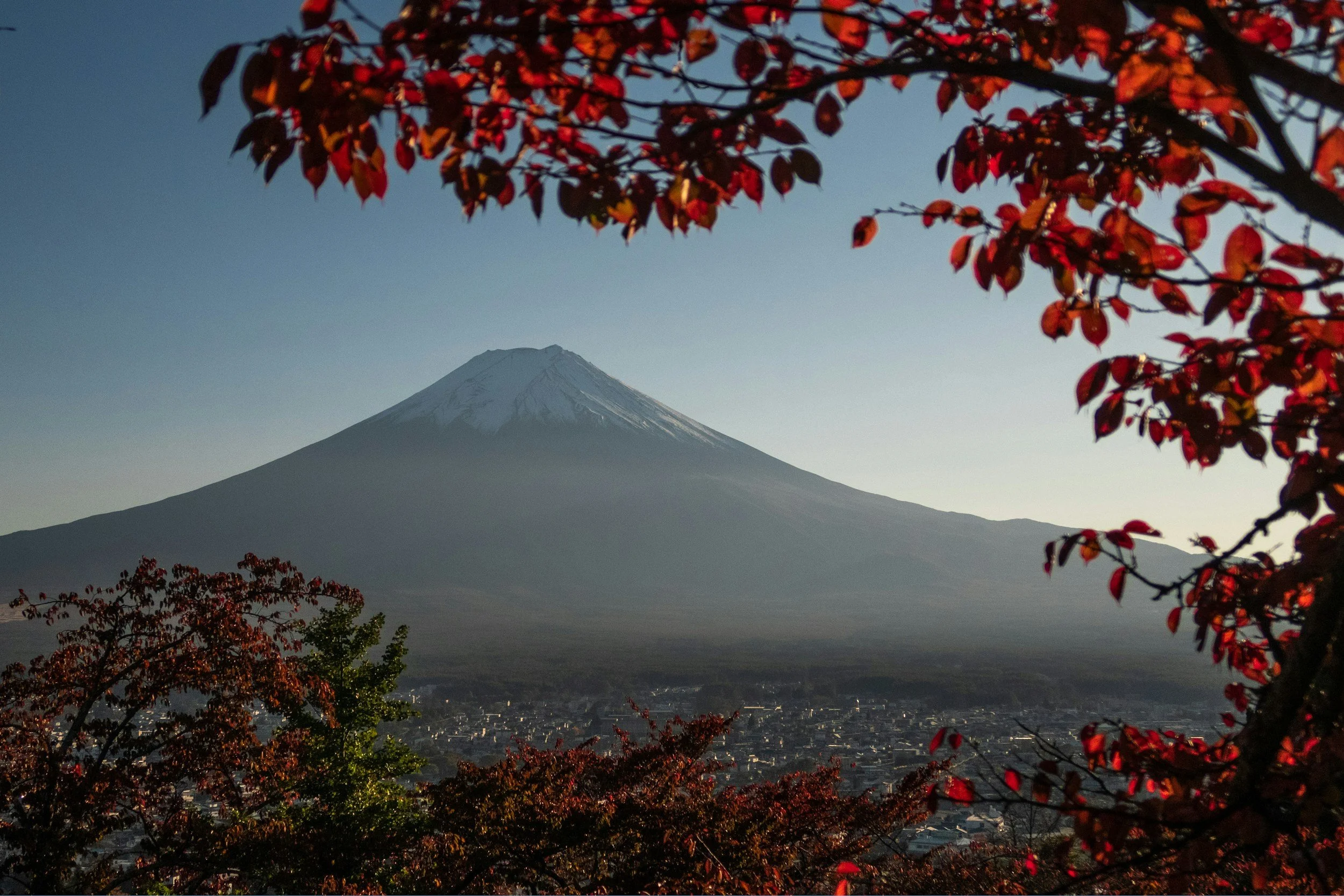 View of Mount Fuji with snow on top, framed by red and orange autumn leaves in the foreground, during sunset or sunrise.