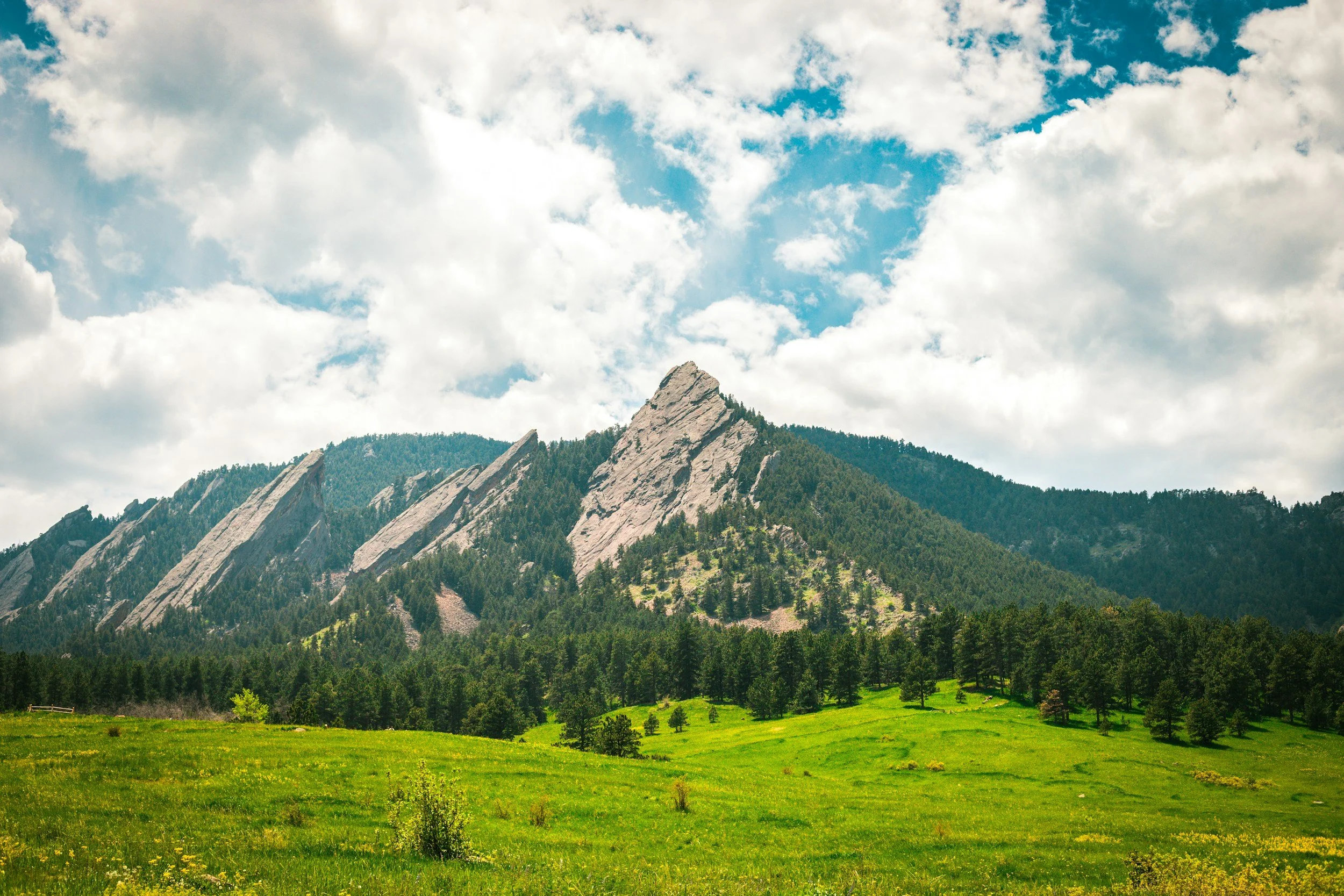 A mountain landscape with sharp, rocky peaks, green forested slopes, and a lush grassy foreground under a partly cloudy sky.